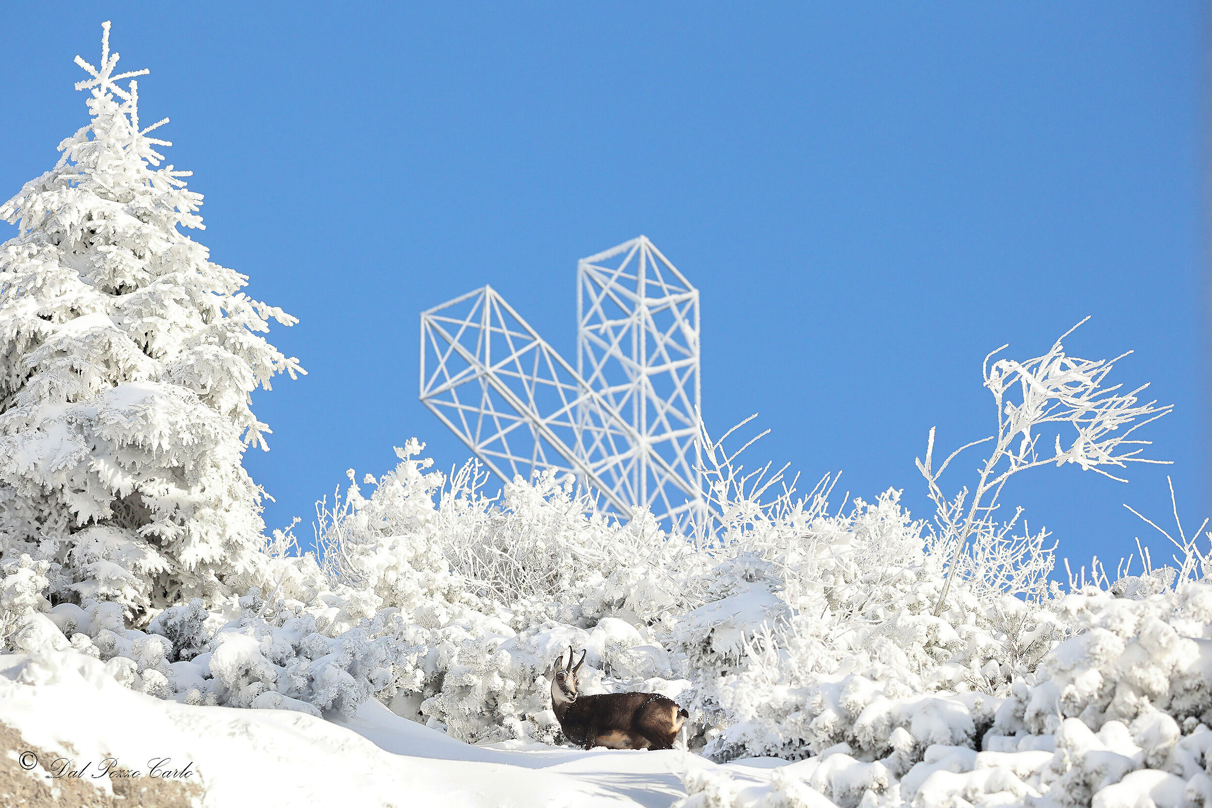 The arrival at the summit