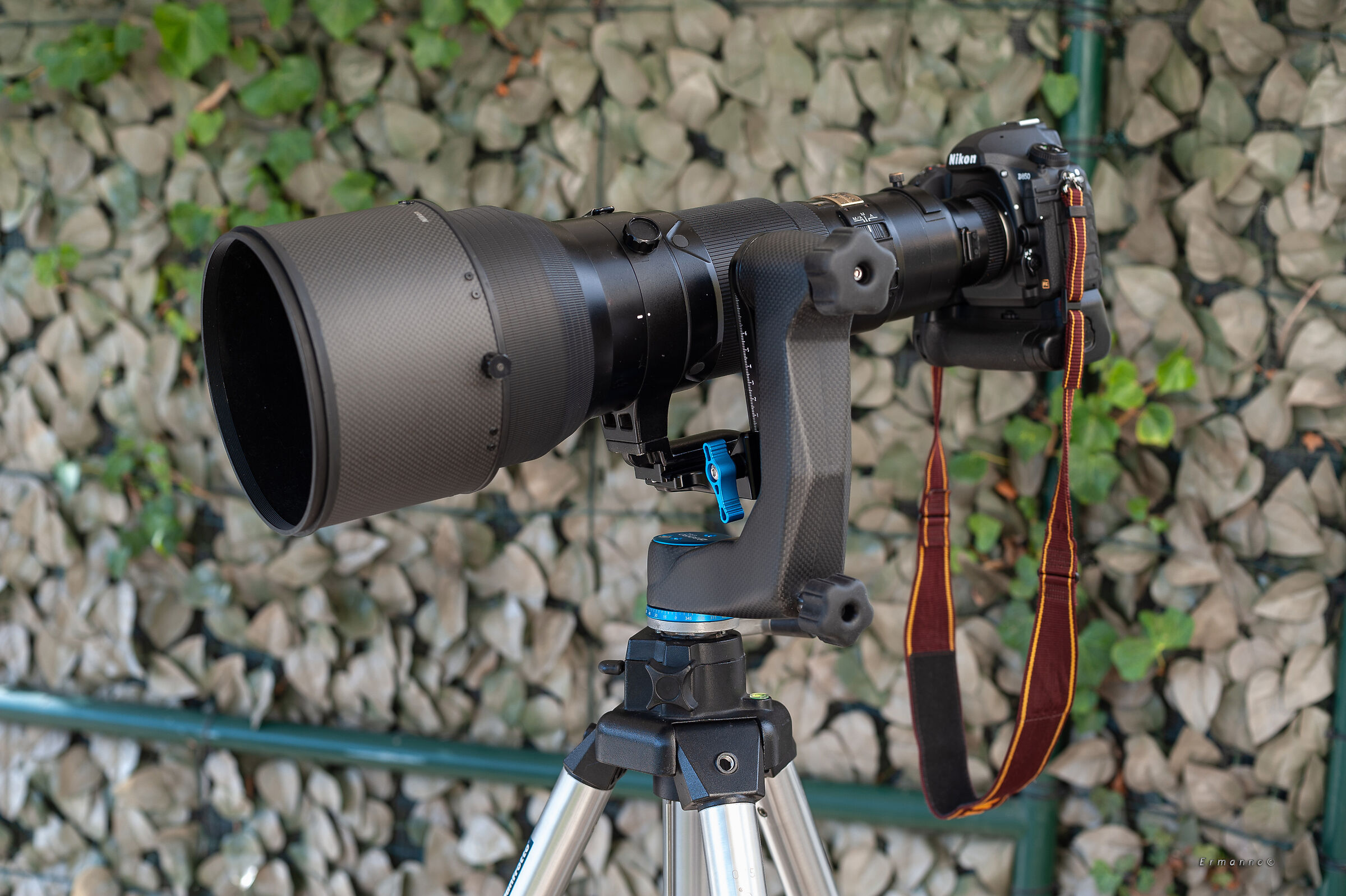 af-s Nikkor 600mm f4 D ED II