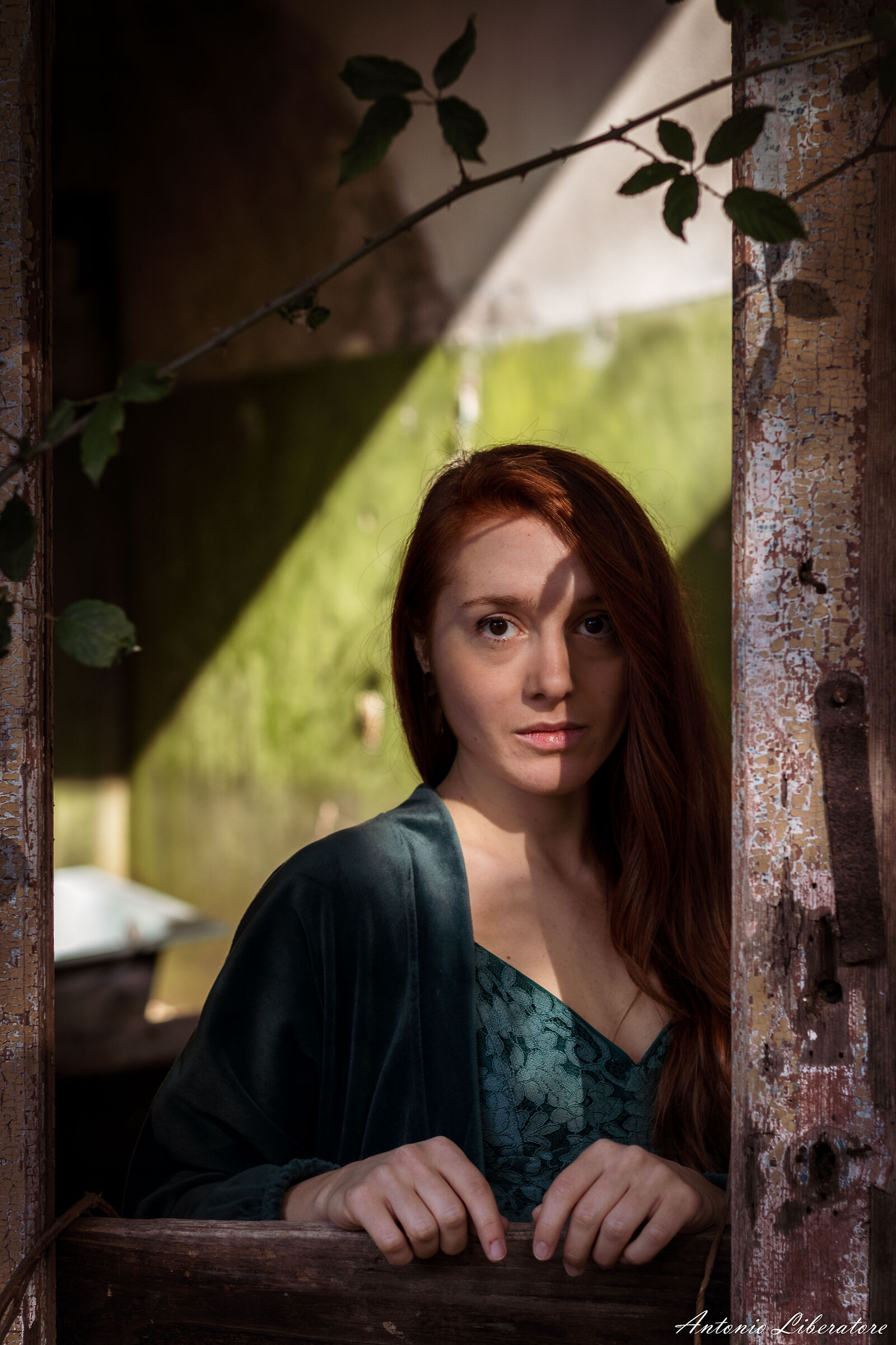 Untitled Photo