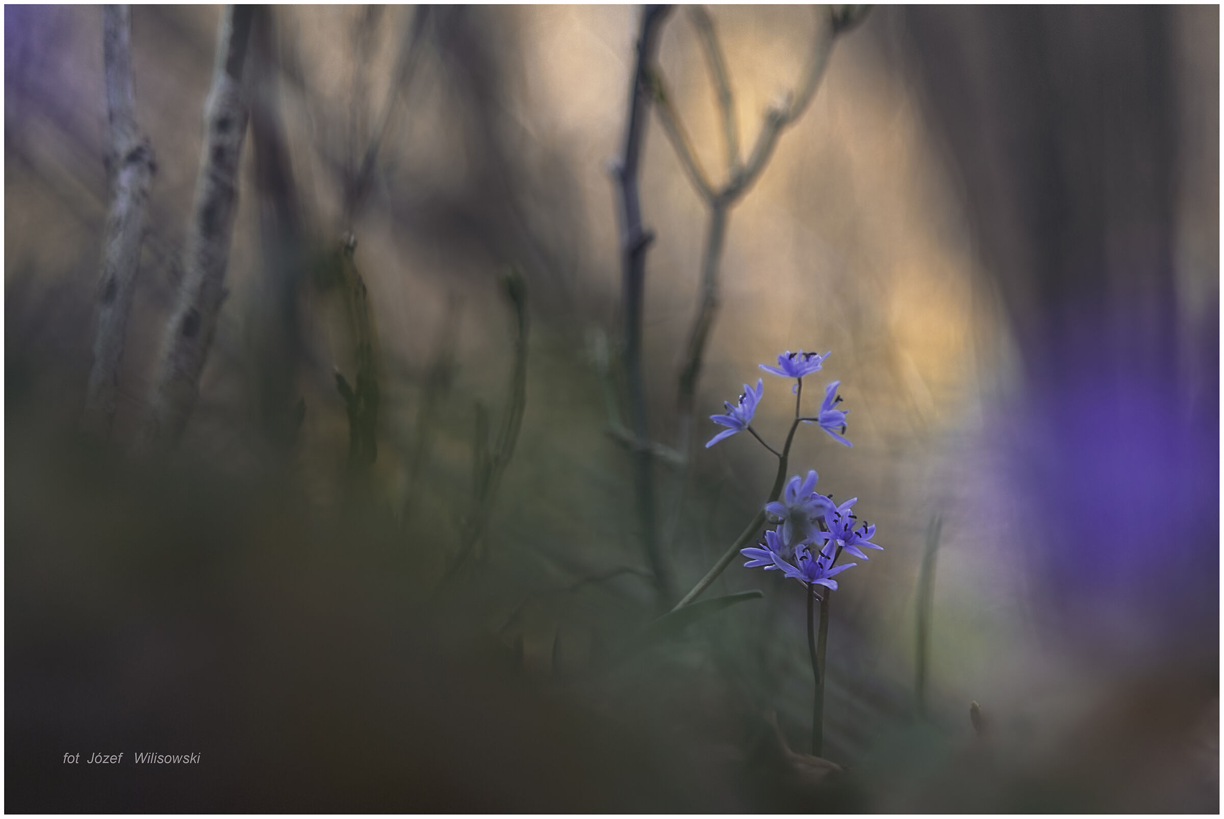 Modified Diaplan 80/2,8