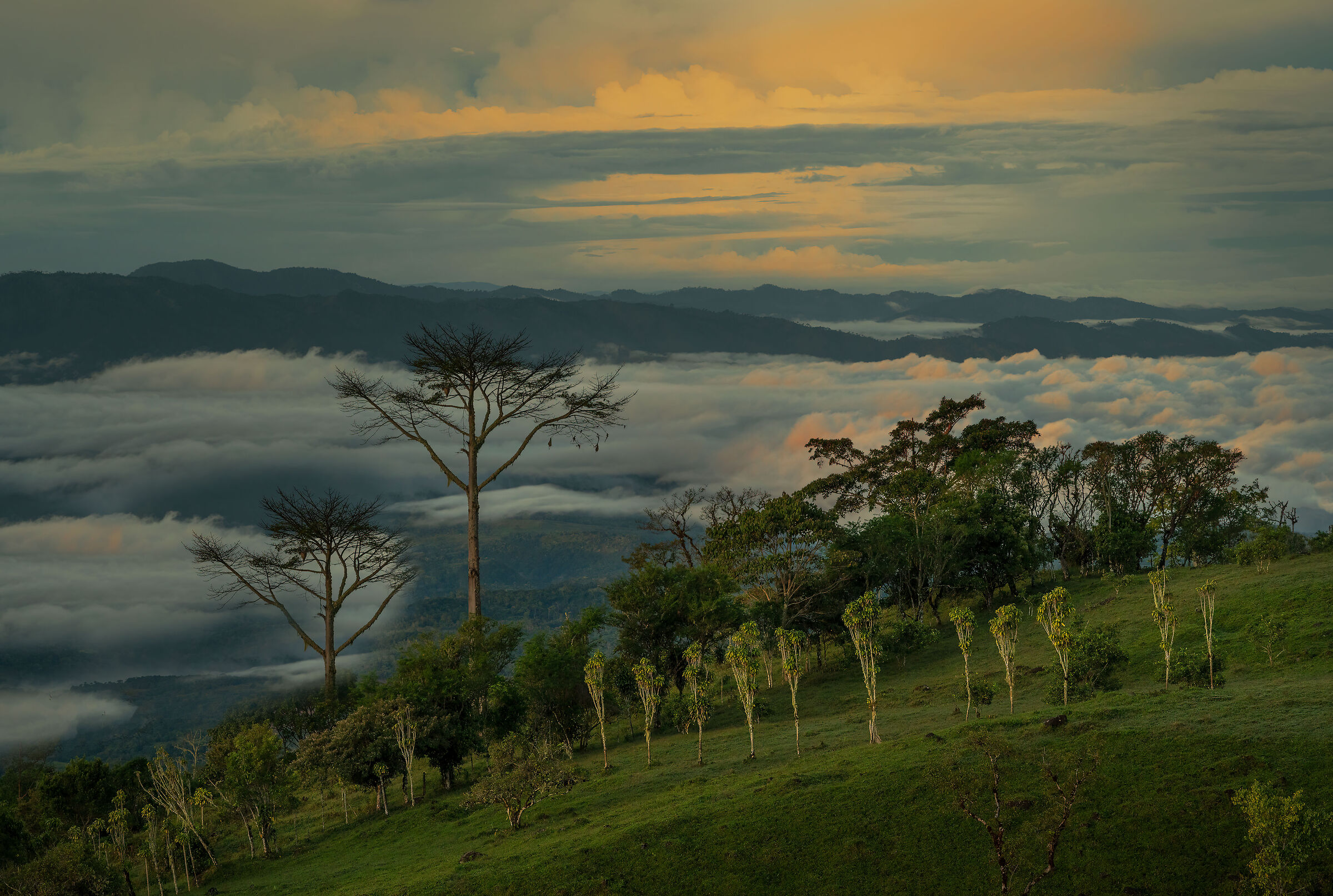 Cordillera of Talamanca