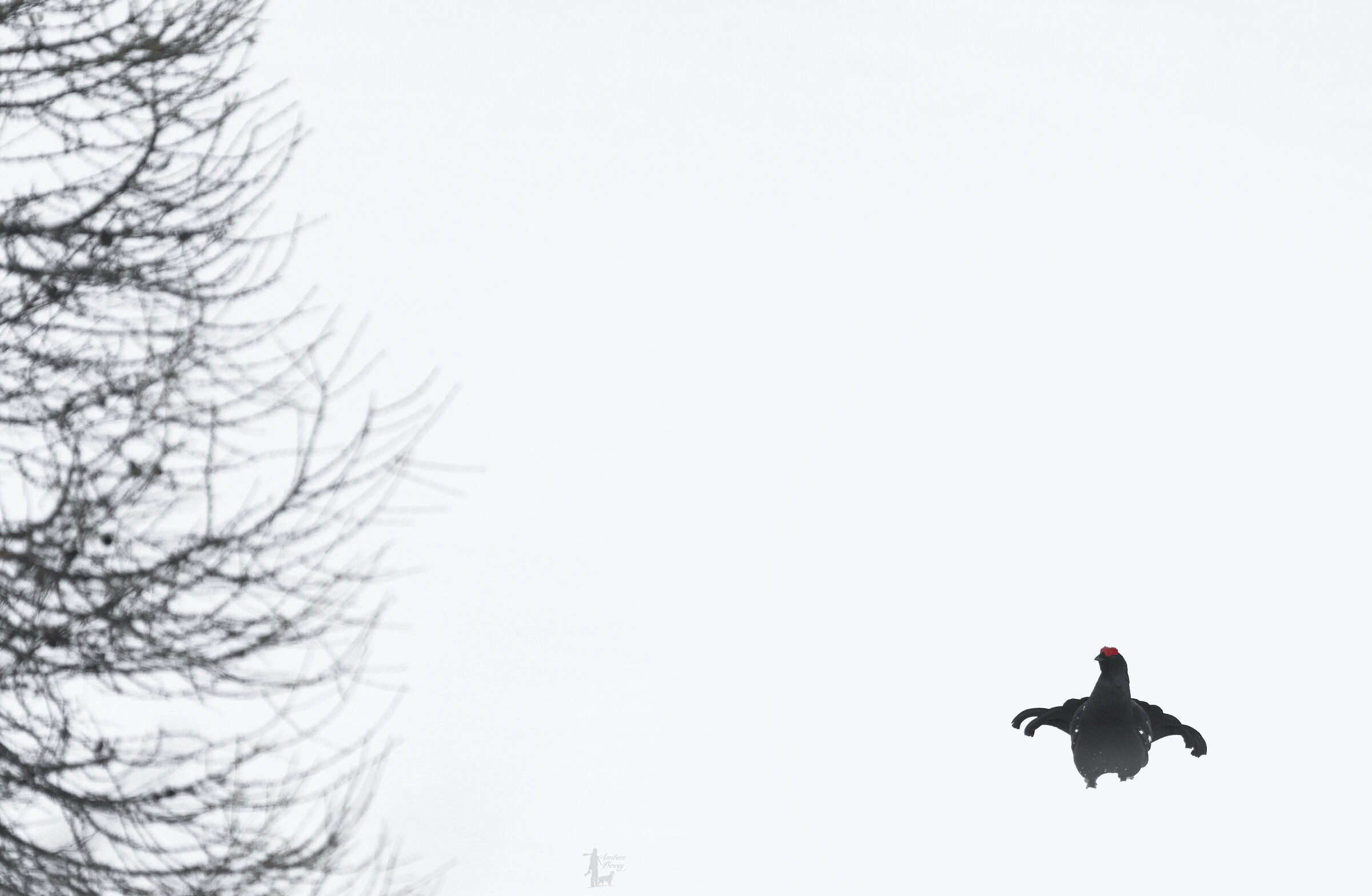 In thin air