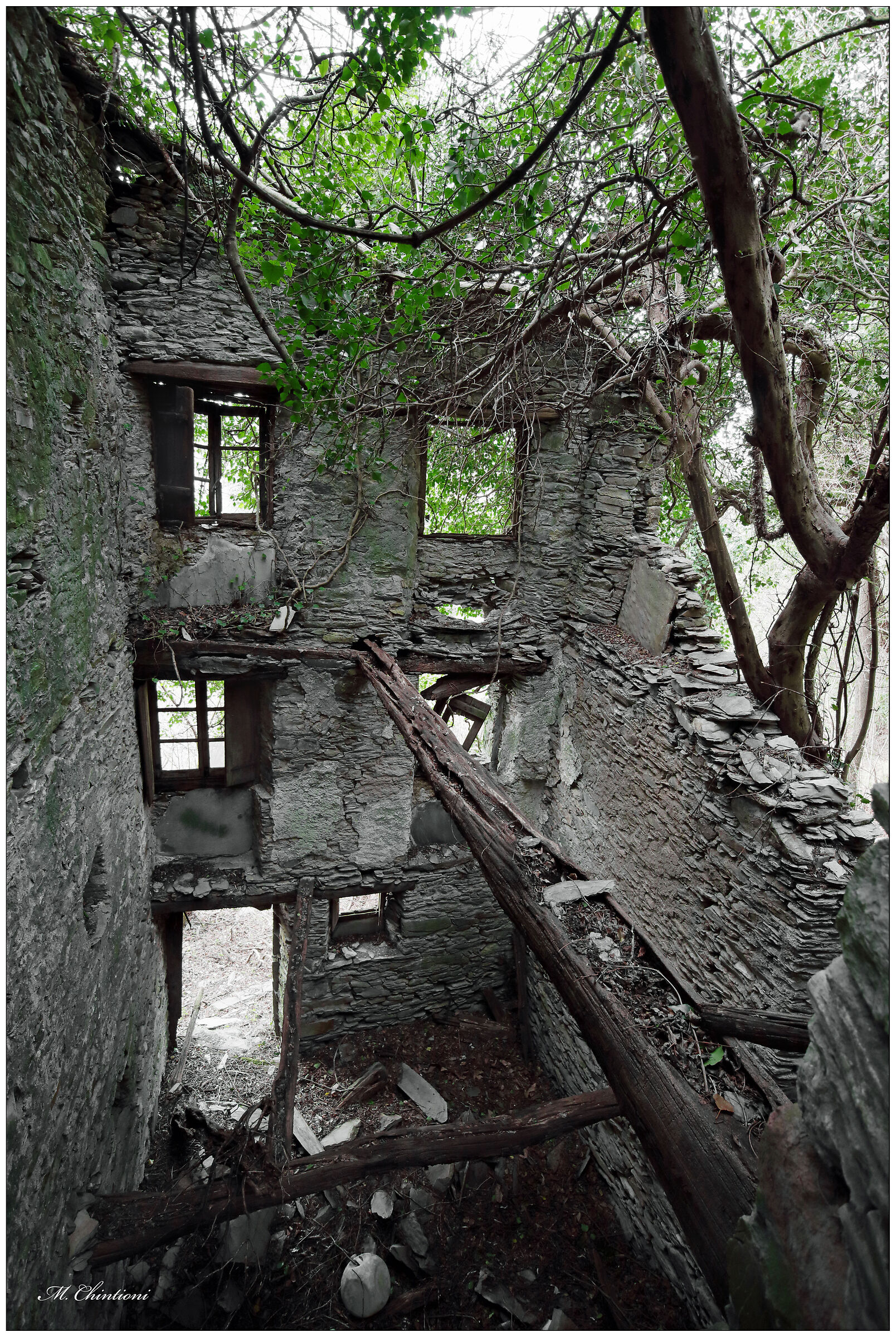 Costa di Soglio - GE