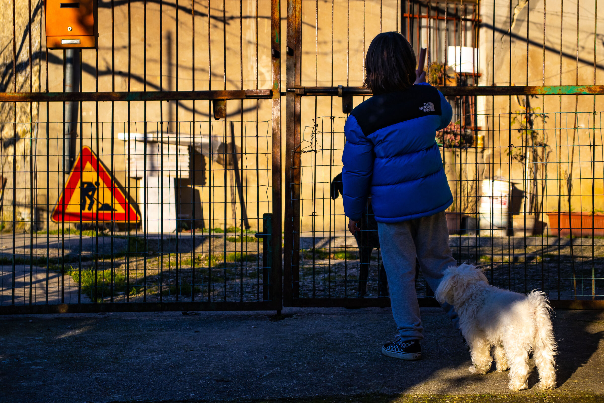 Behind the cage