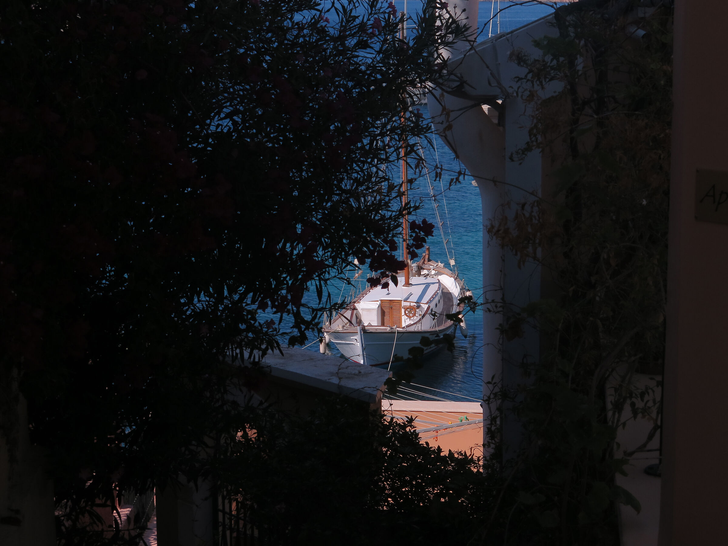 Uno sguardo nell'estate.