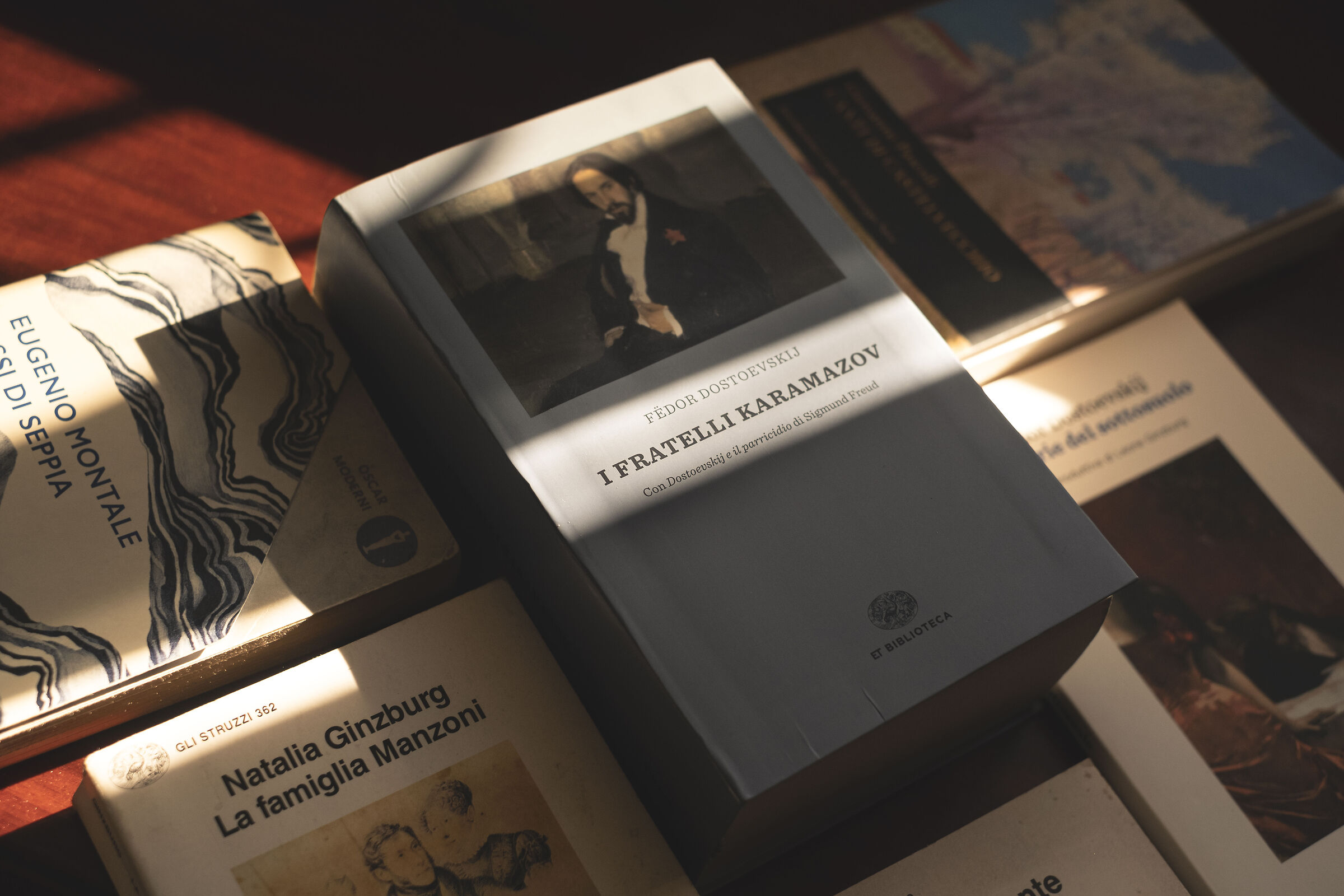 The Brothers Karamazov