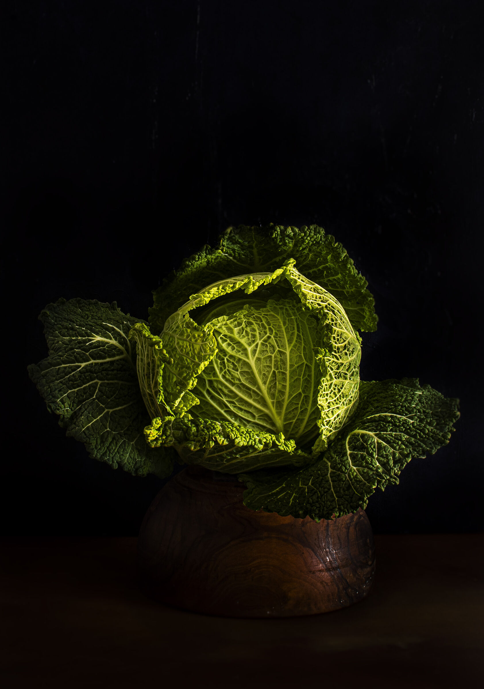 Still life with cabbage.