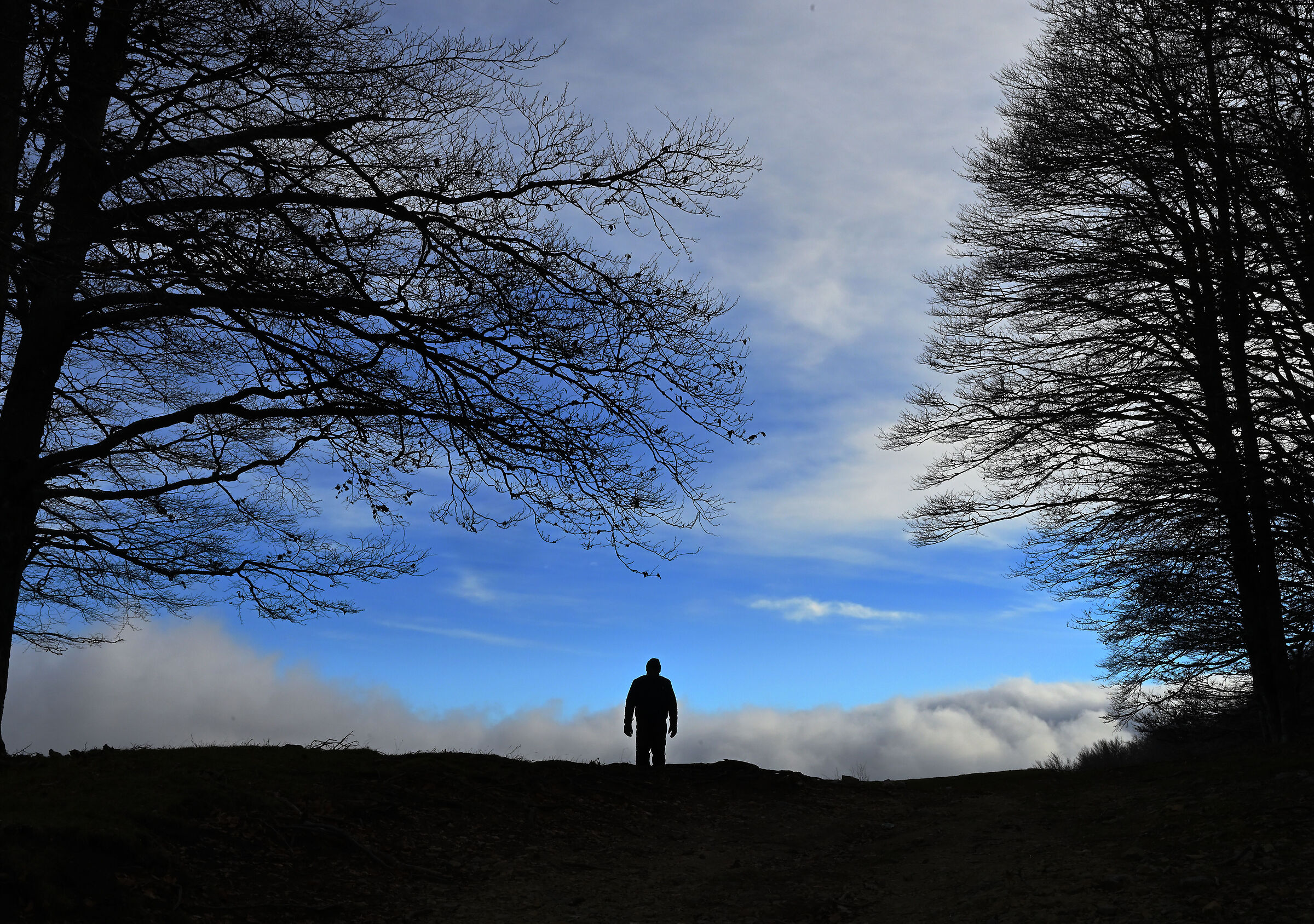 lonely man