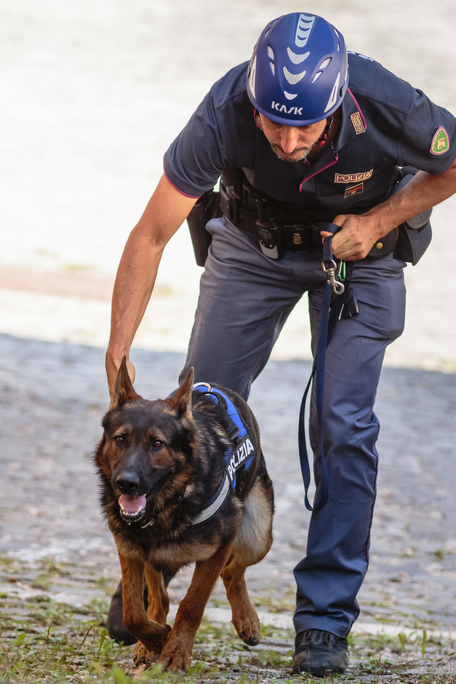 special policeman 1