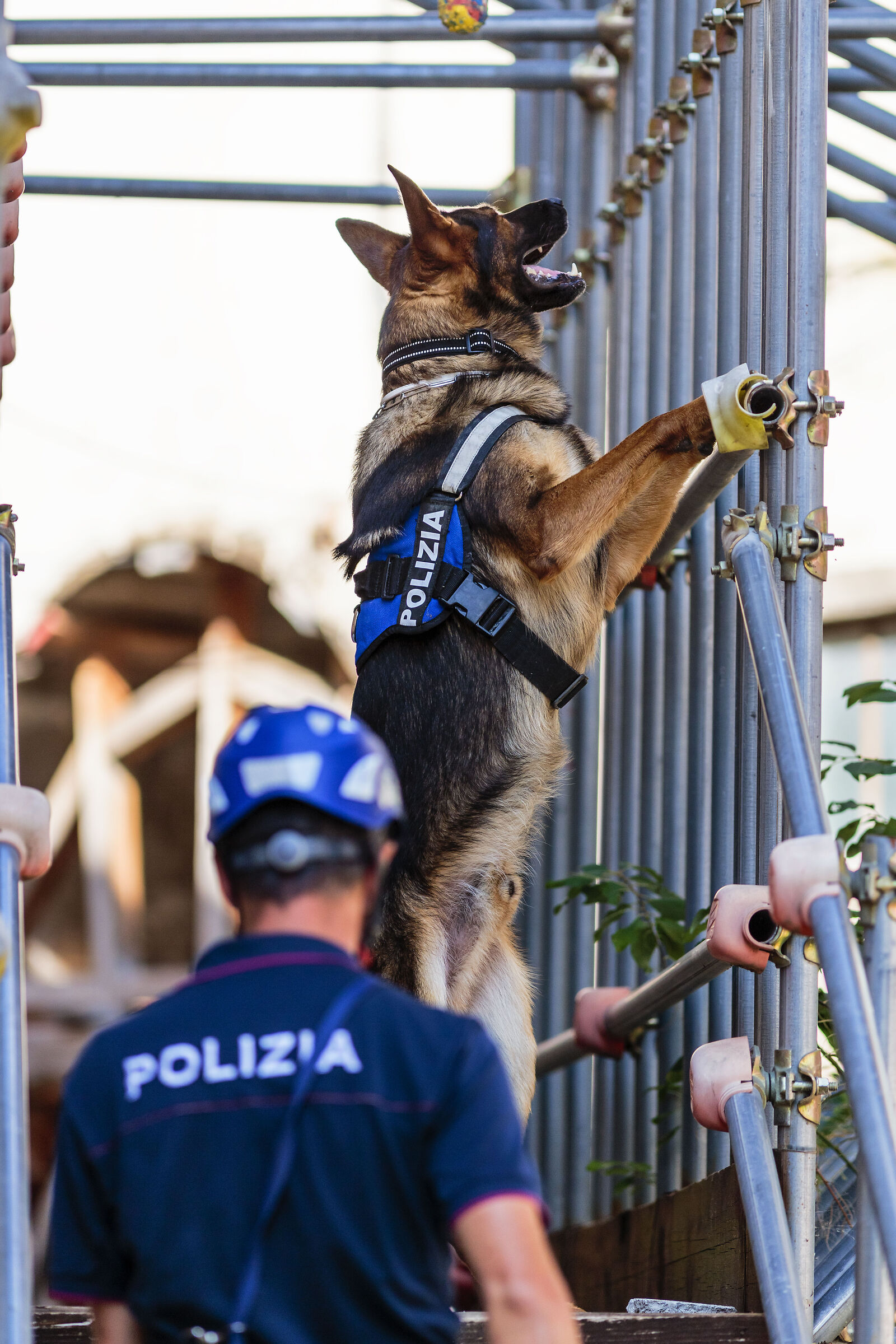 special policeman 2