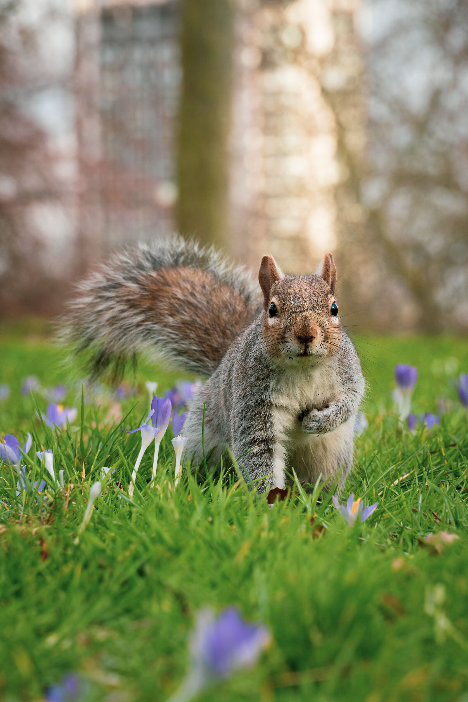 Plastic installation