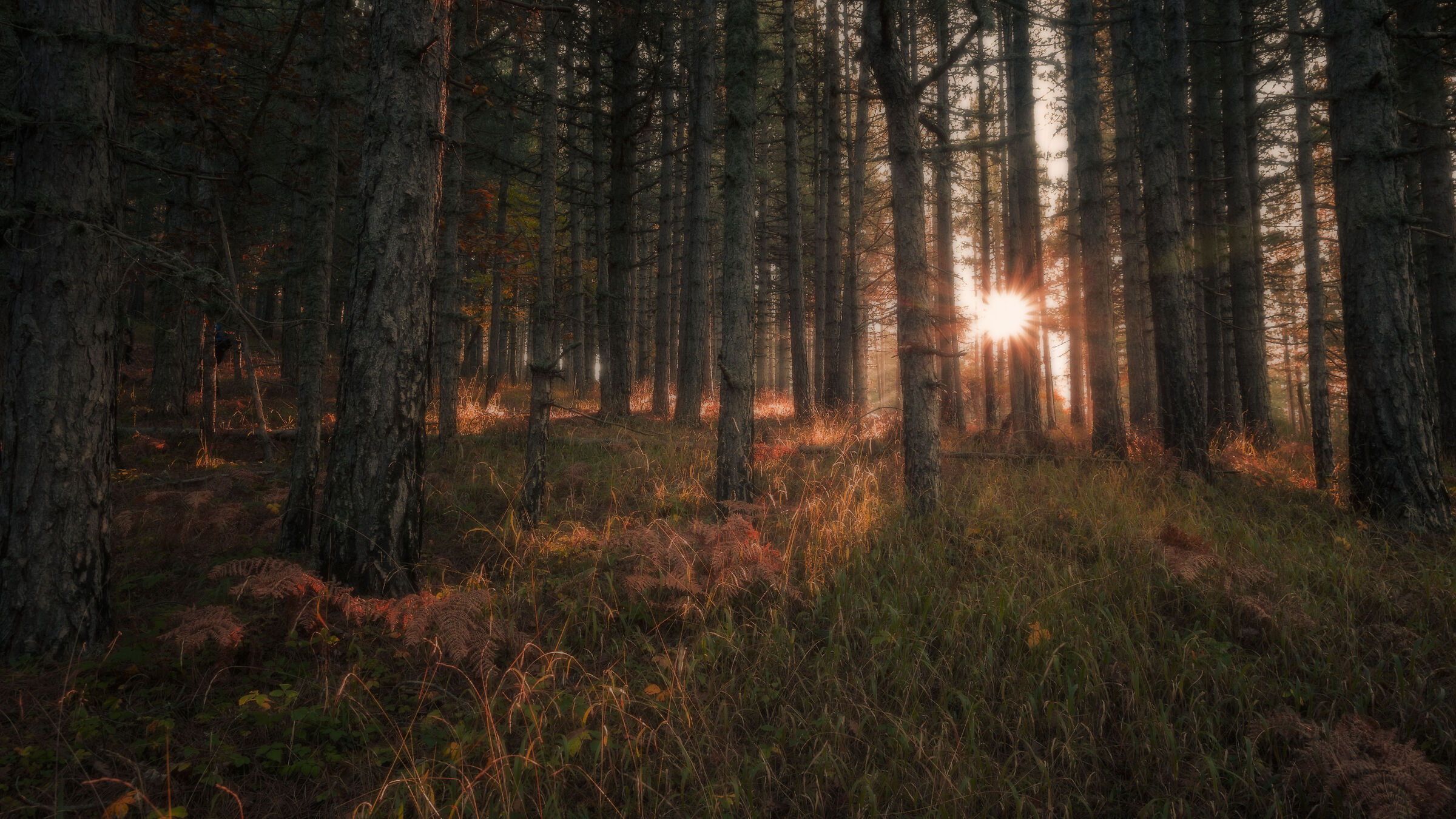 È solo un arrivederci*