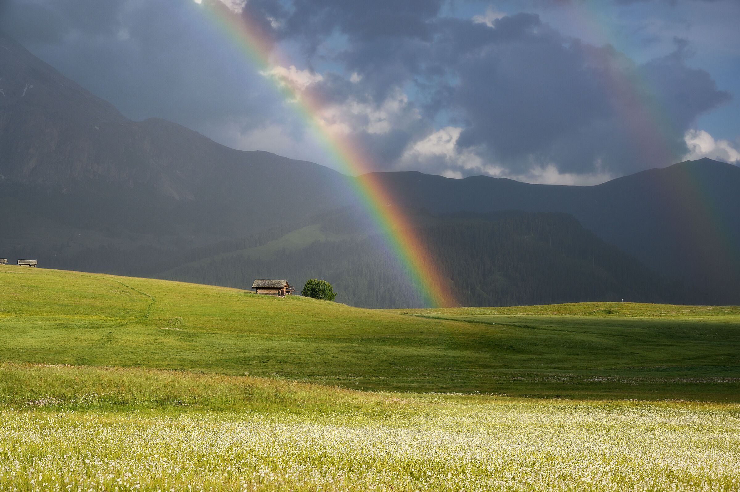La casetta sotto l'arcobaleno