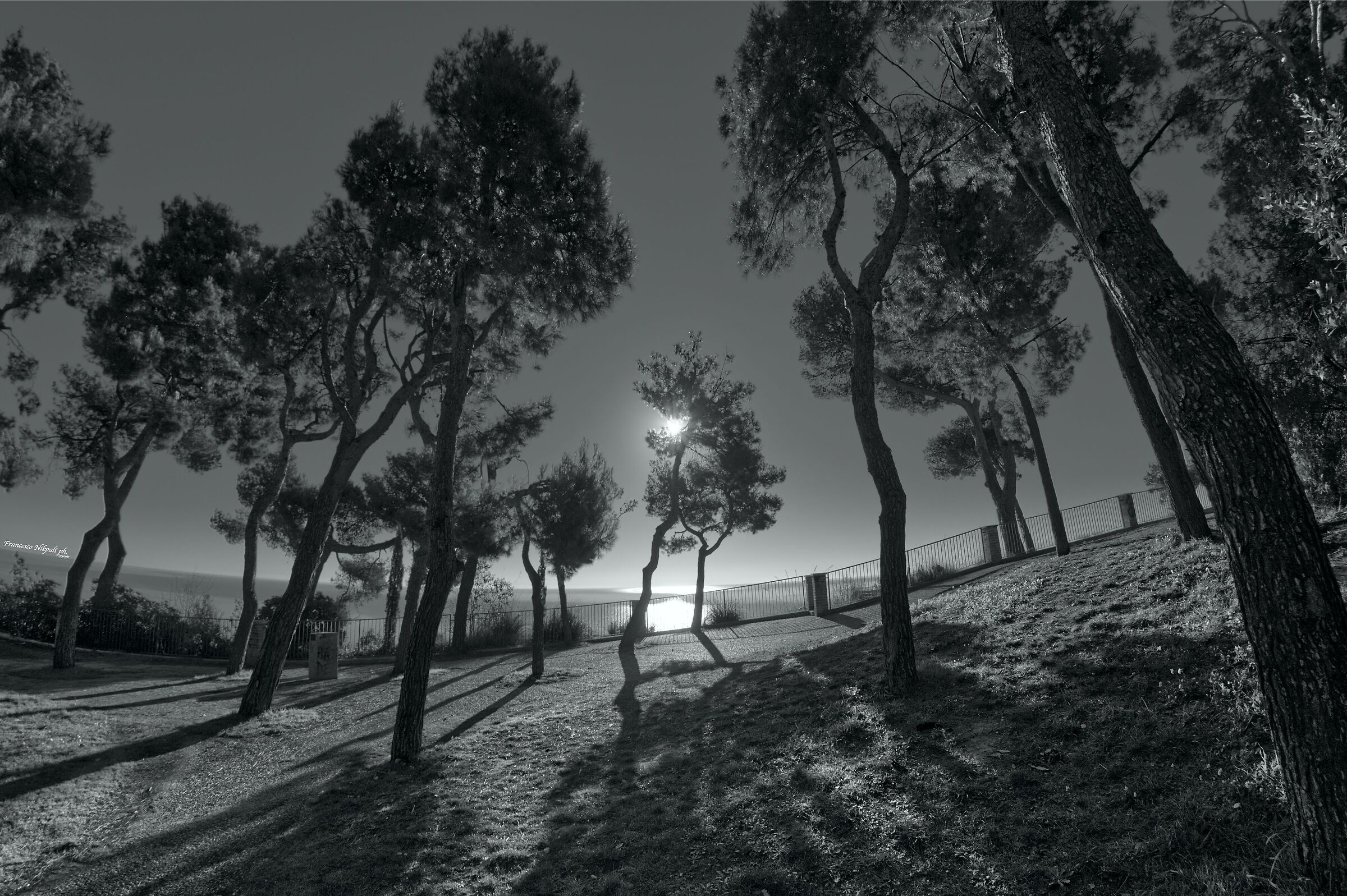 View from the high village of Grottammare