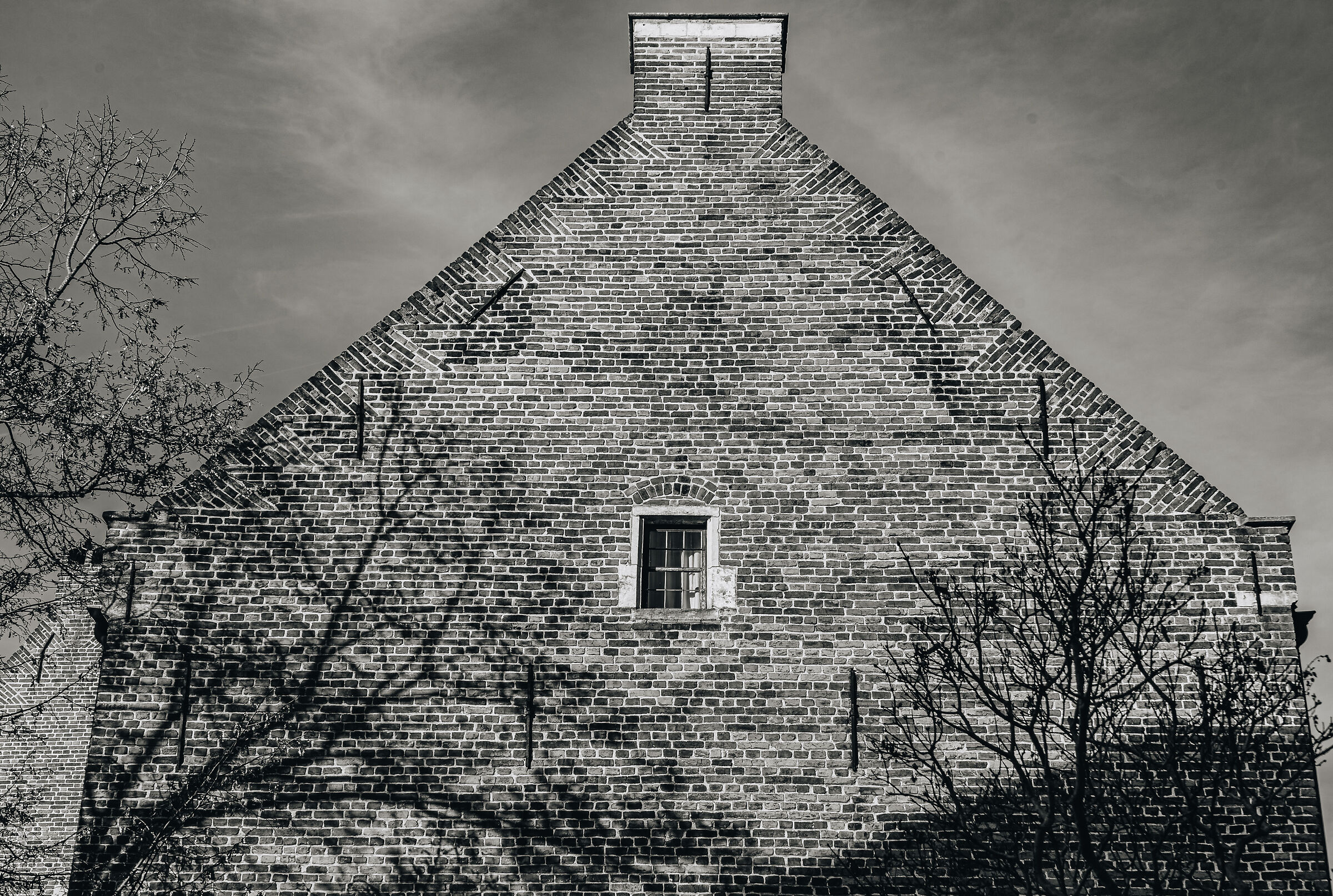 Alberi su palazzo nel borgo