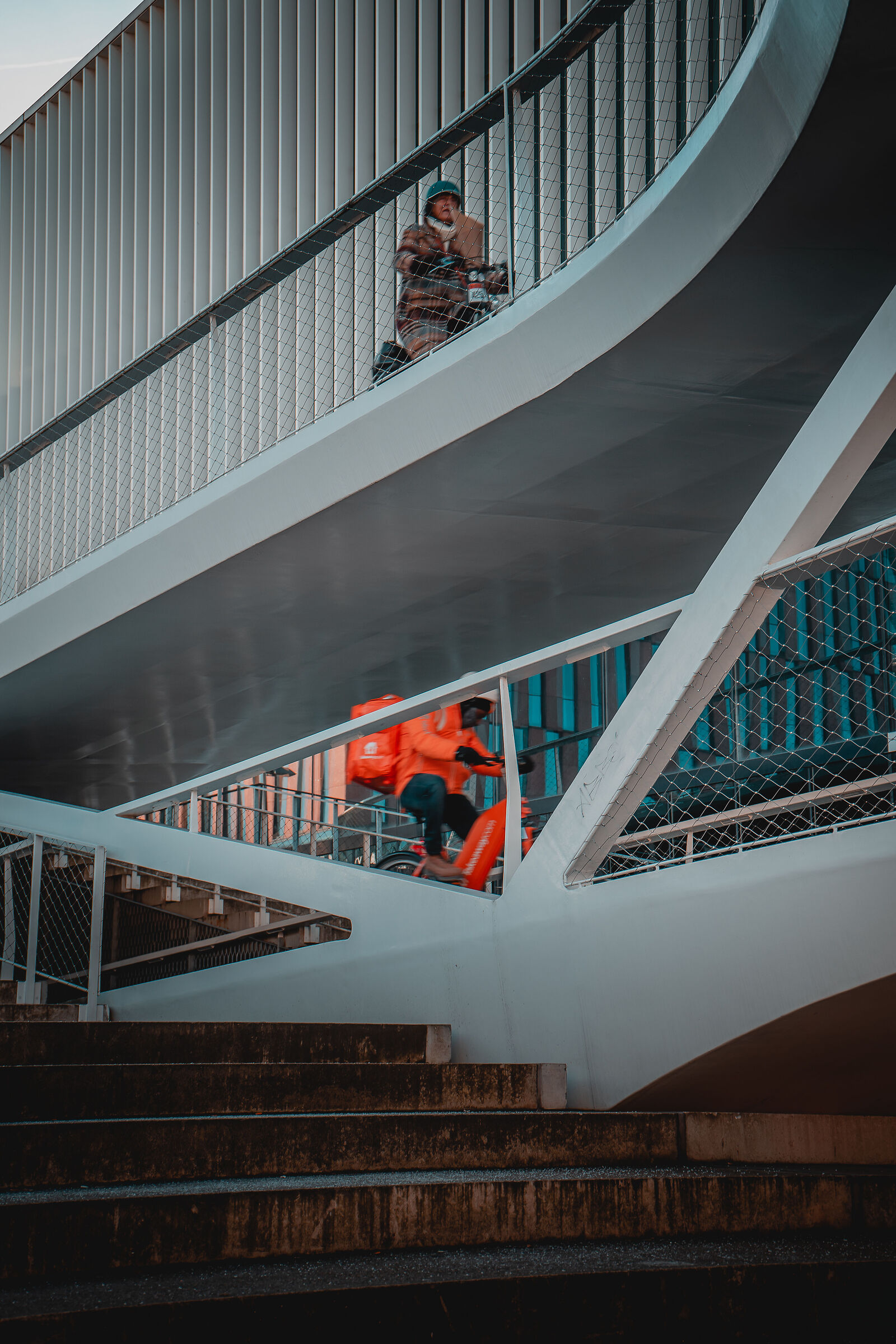 Trasportatore e consumatore a confronto