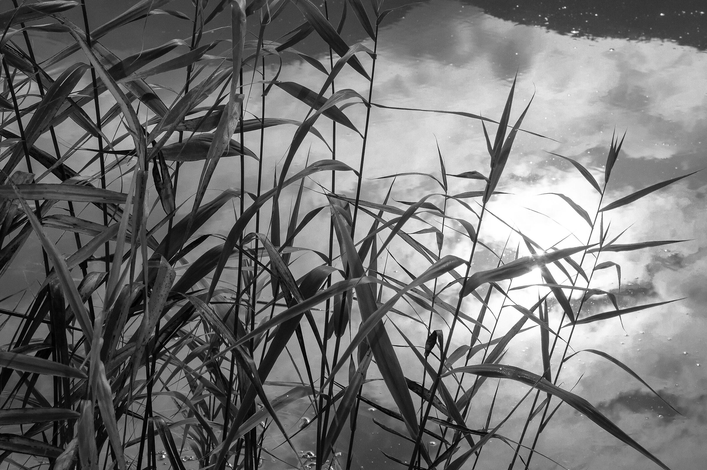 Riflessi sul lago. Lago d'Endine
