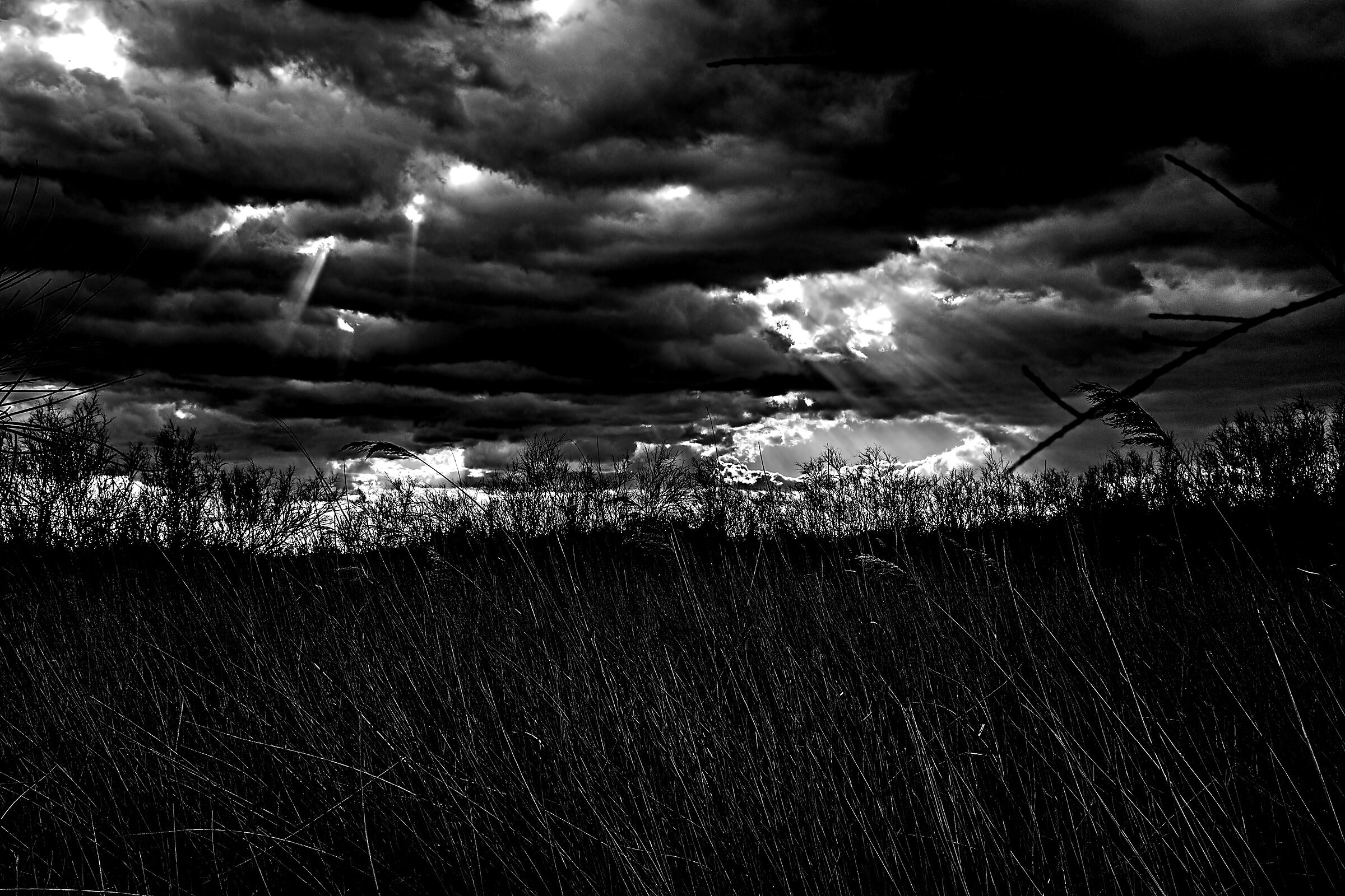 The fatigue of light