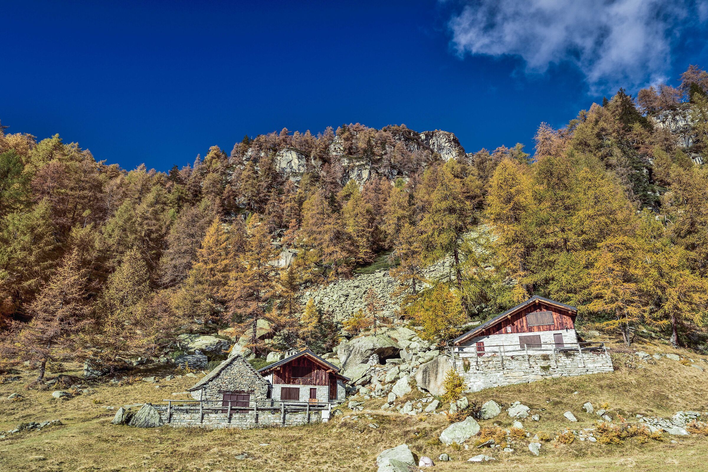 autunno 2020 Valdivedro - Alpe Solcio