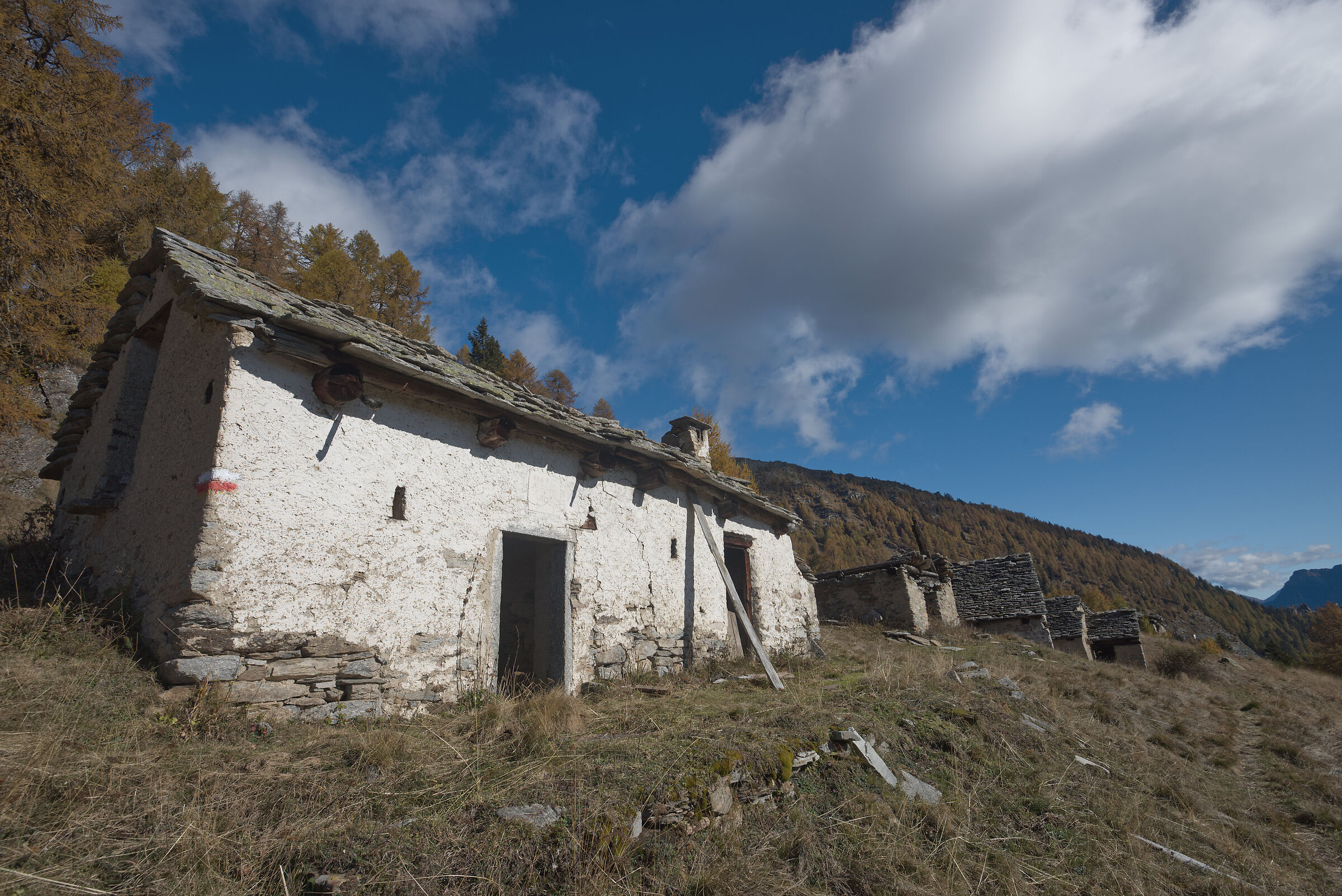 autunno 2020 Valdivedro - Alpe Rono