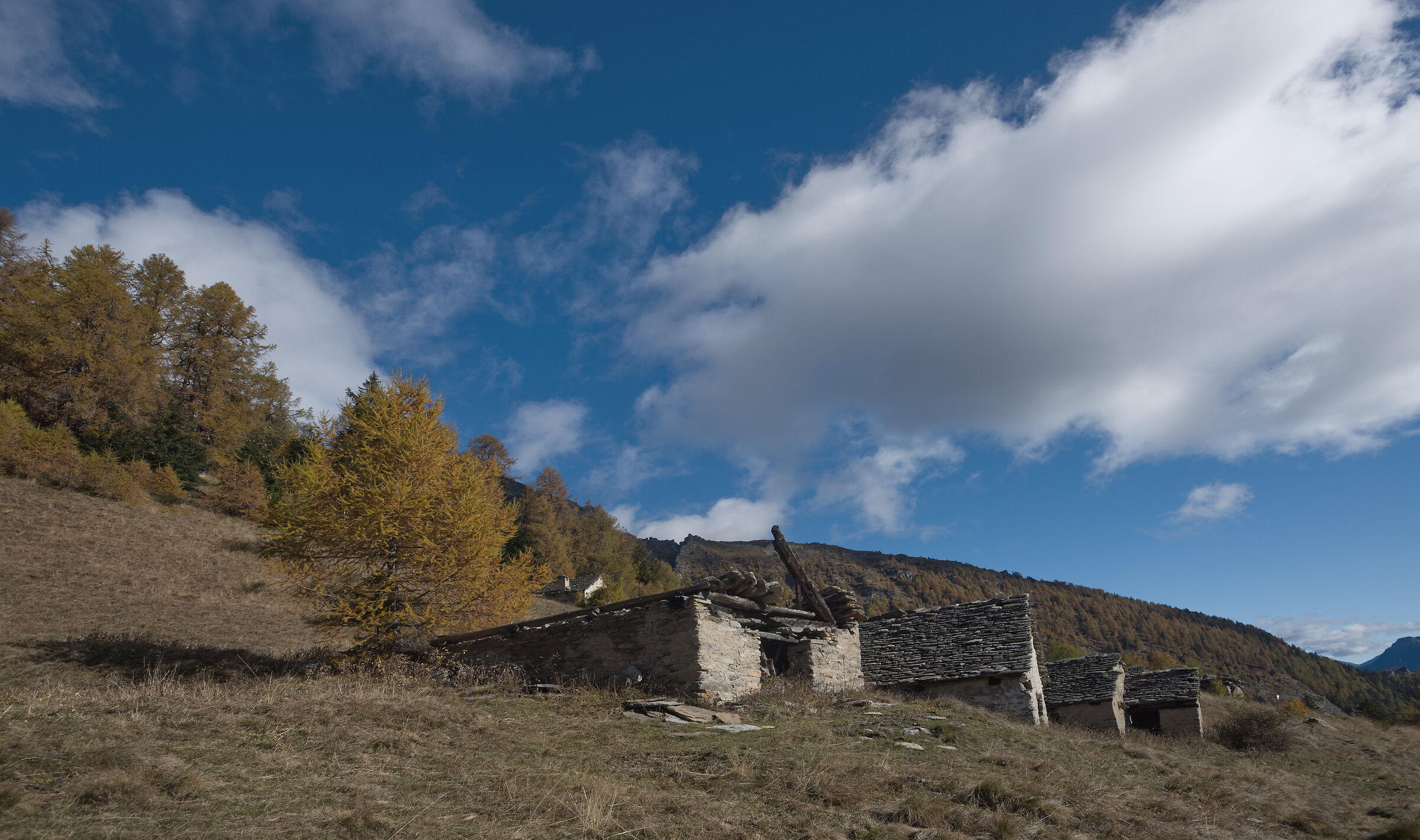 autunno 2020 Valdivedro - Alpe Rono