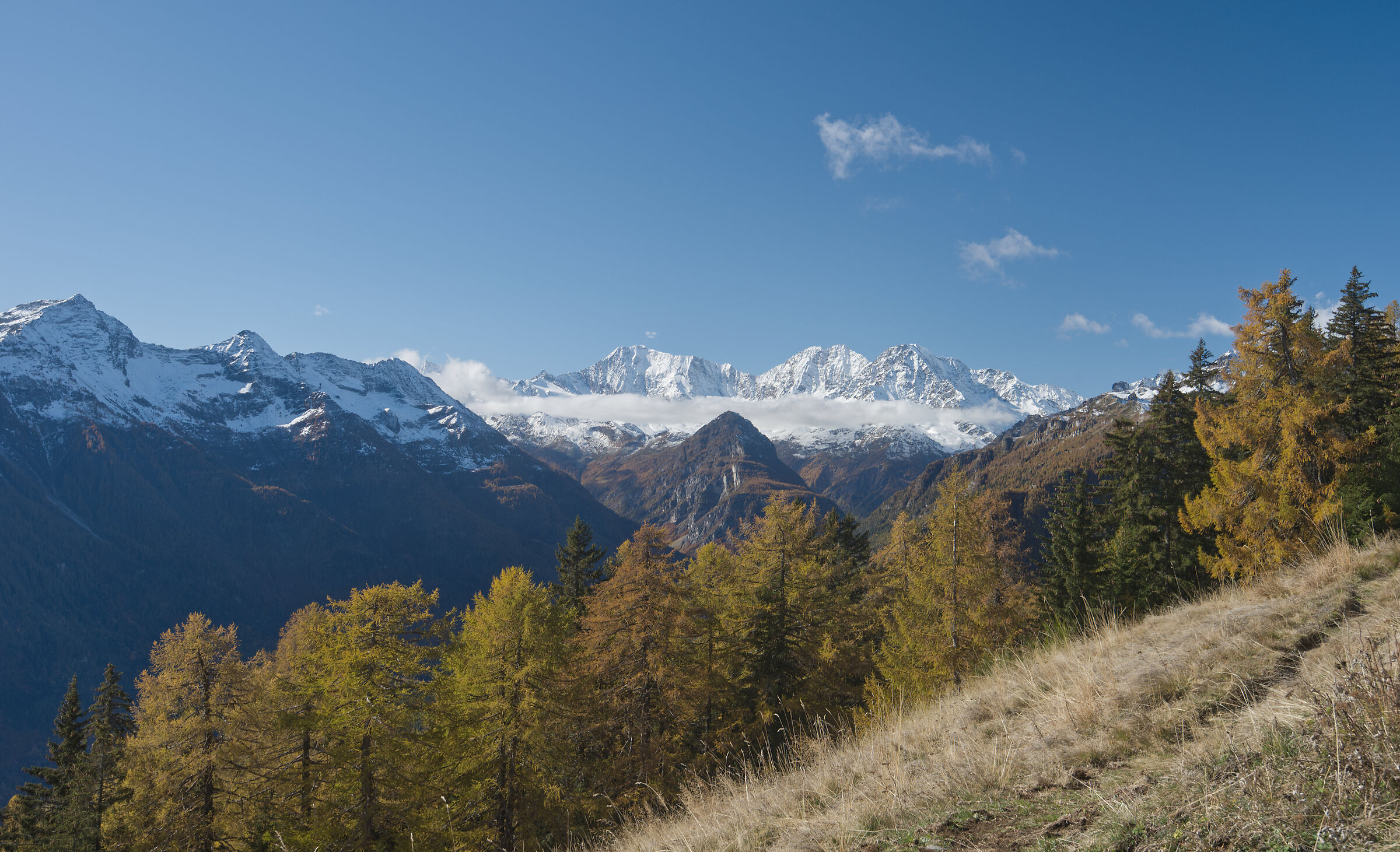 autunno 2020 Valdivedro dall'Alpe Rono