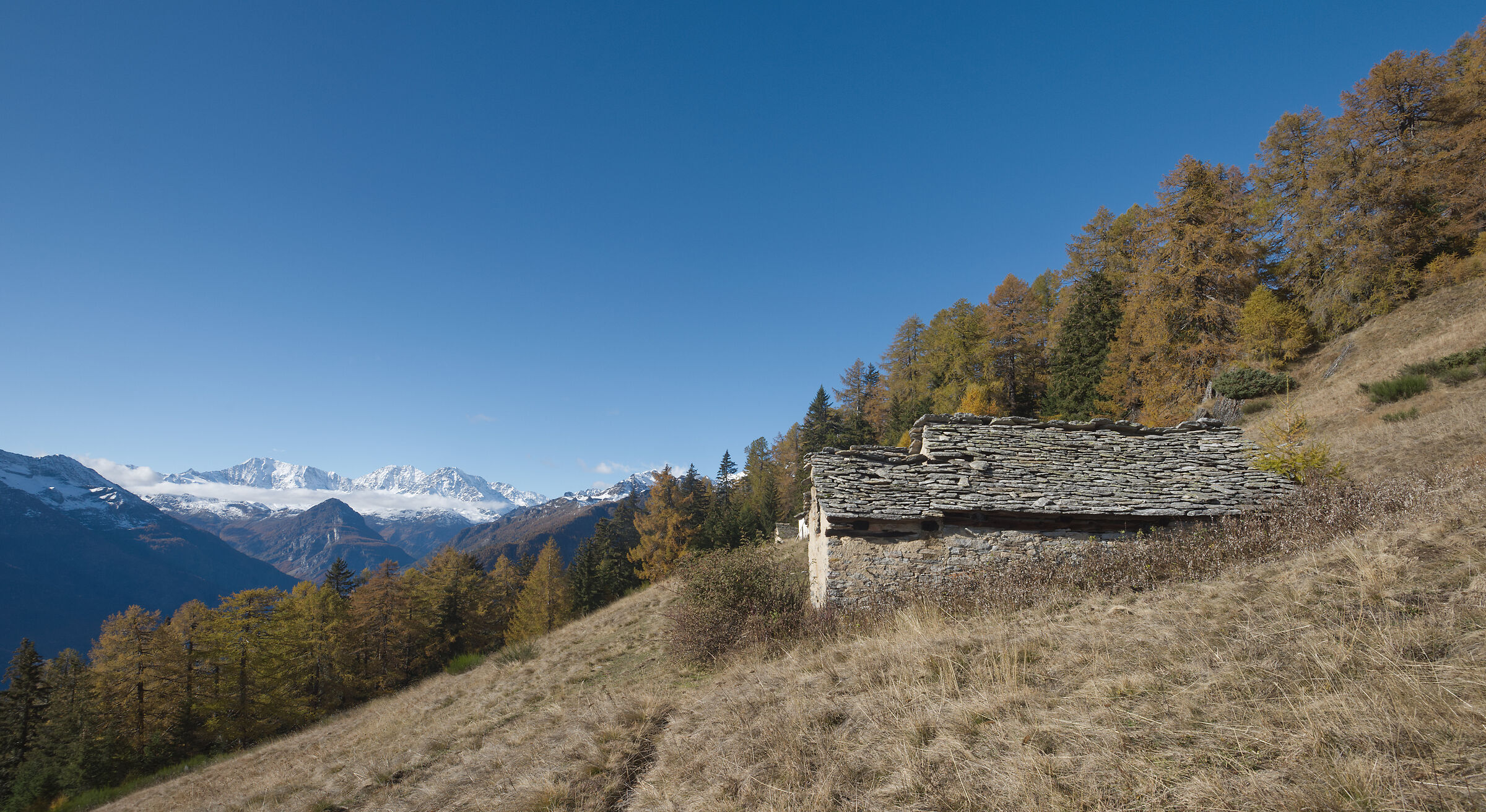 autunno 2020 Valdivedro - Alpe Rono