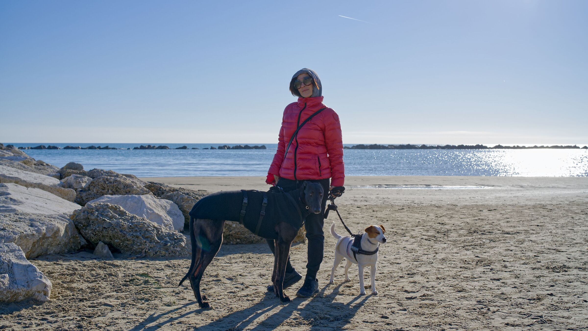 Ritratto di famiglia ...  con Vince il Greyhound