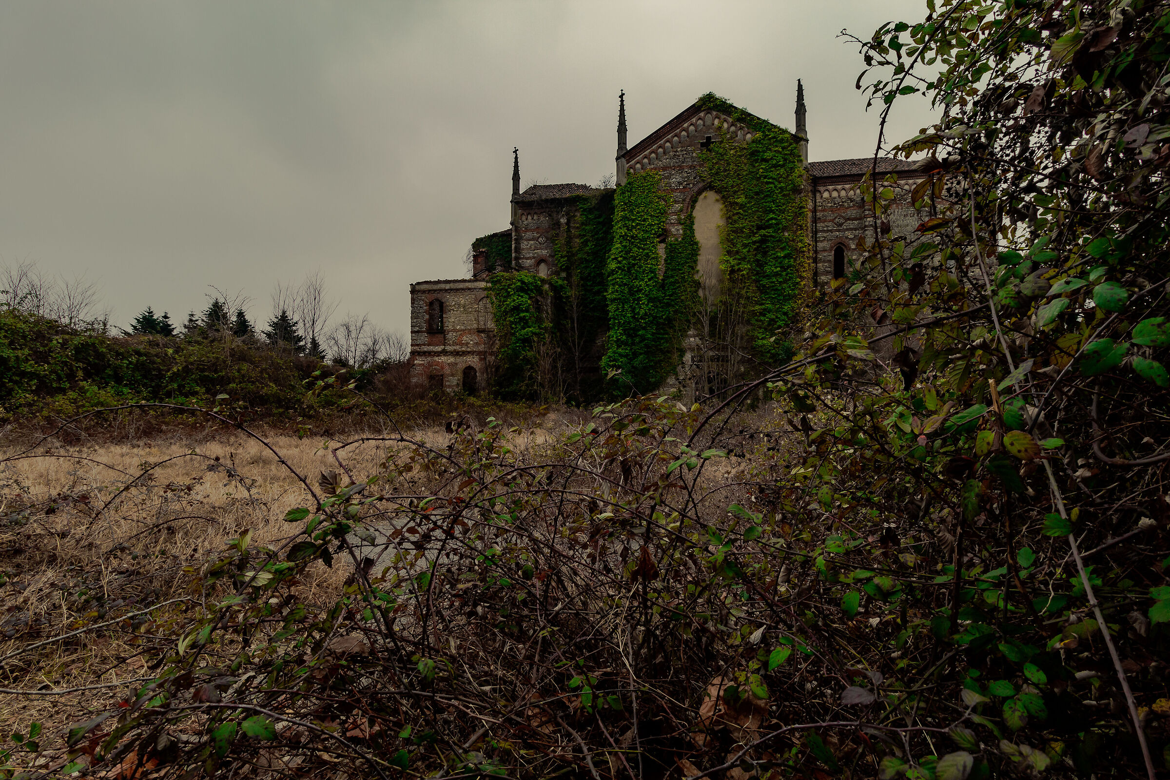 Basilica della Santissima Immacolata