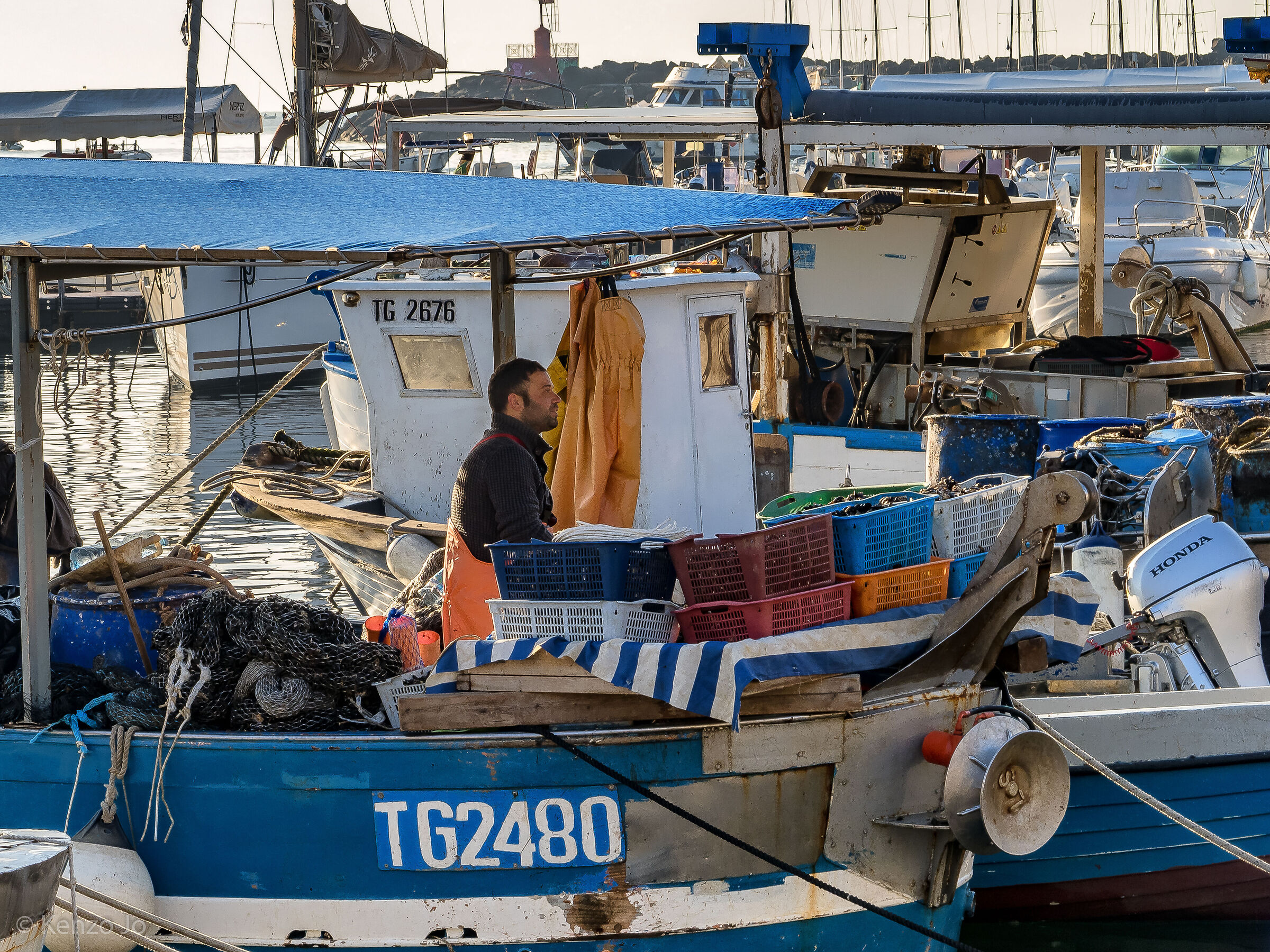 Freshly caught mussels