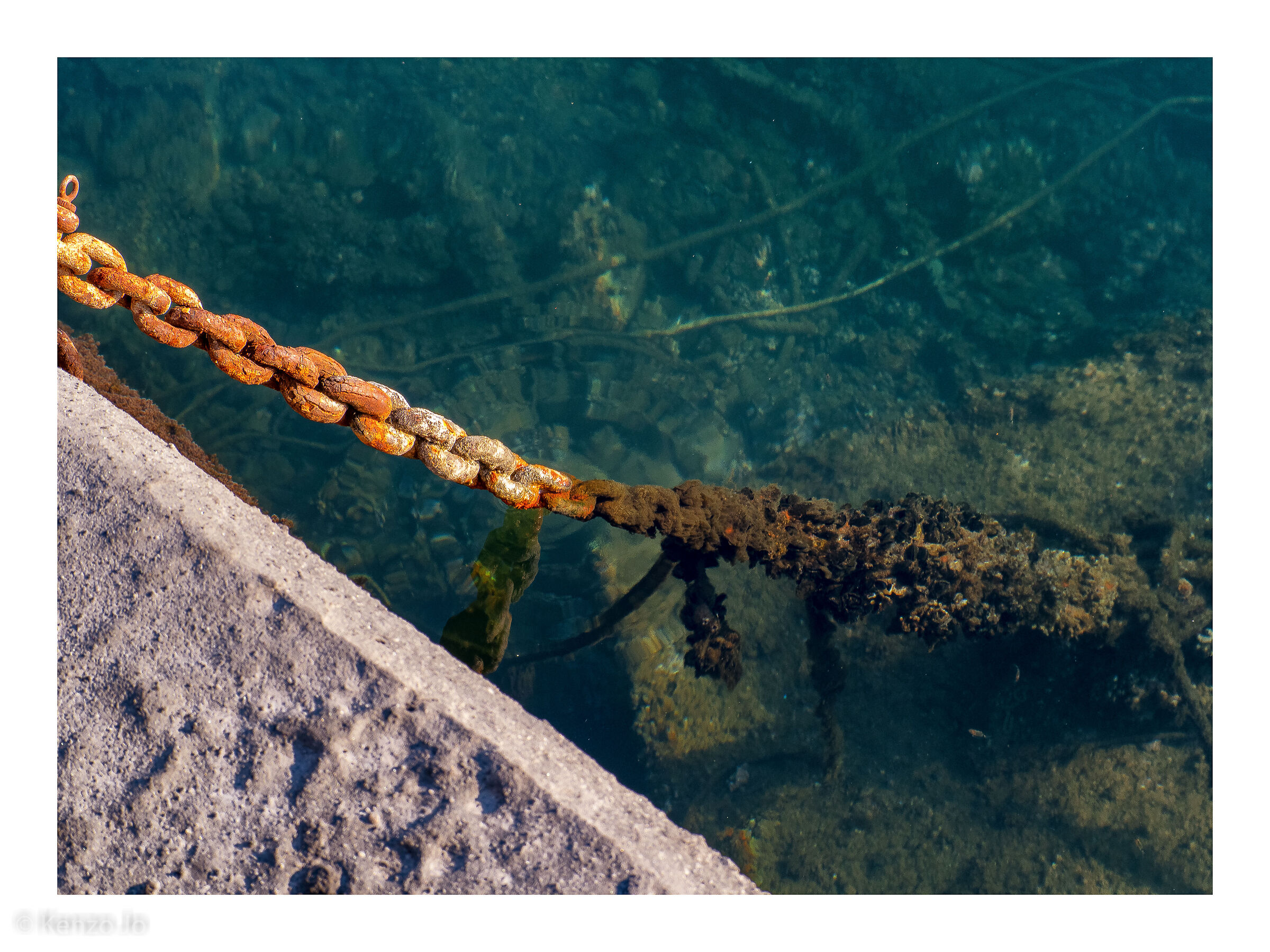 The link between Man and Sea