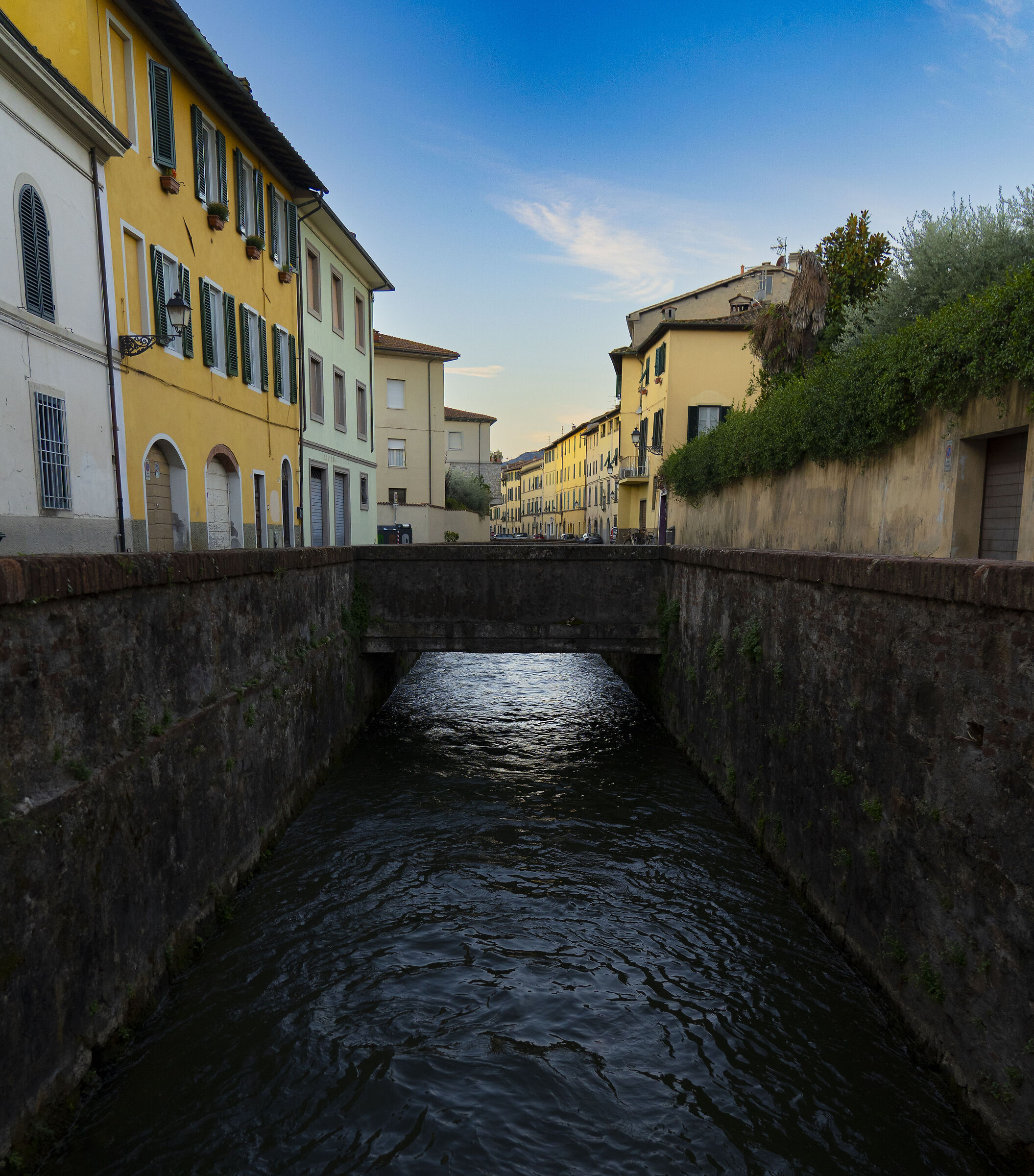 Untitled Photo