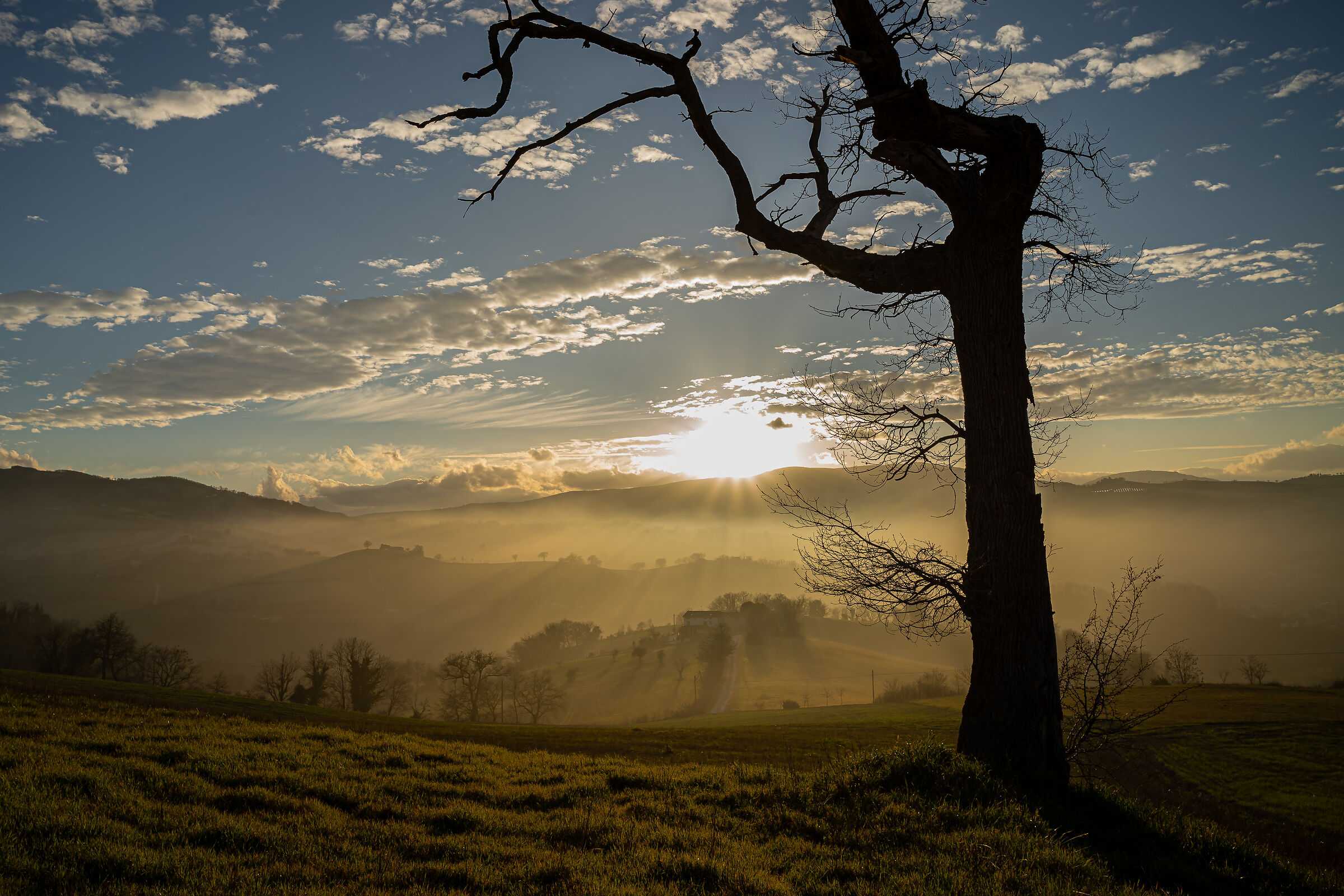 Tramonto sulle colline marchigiane