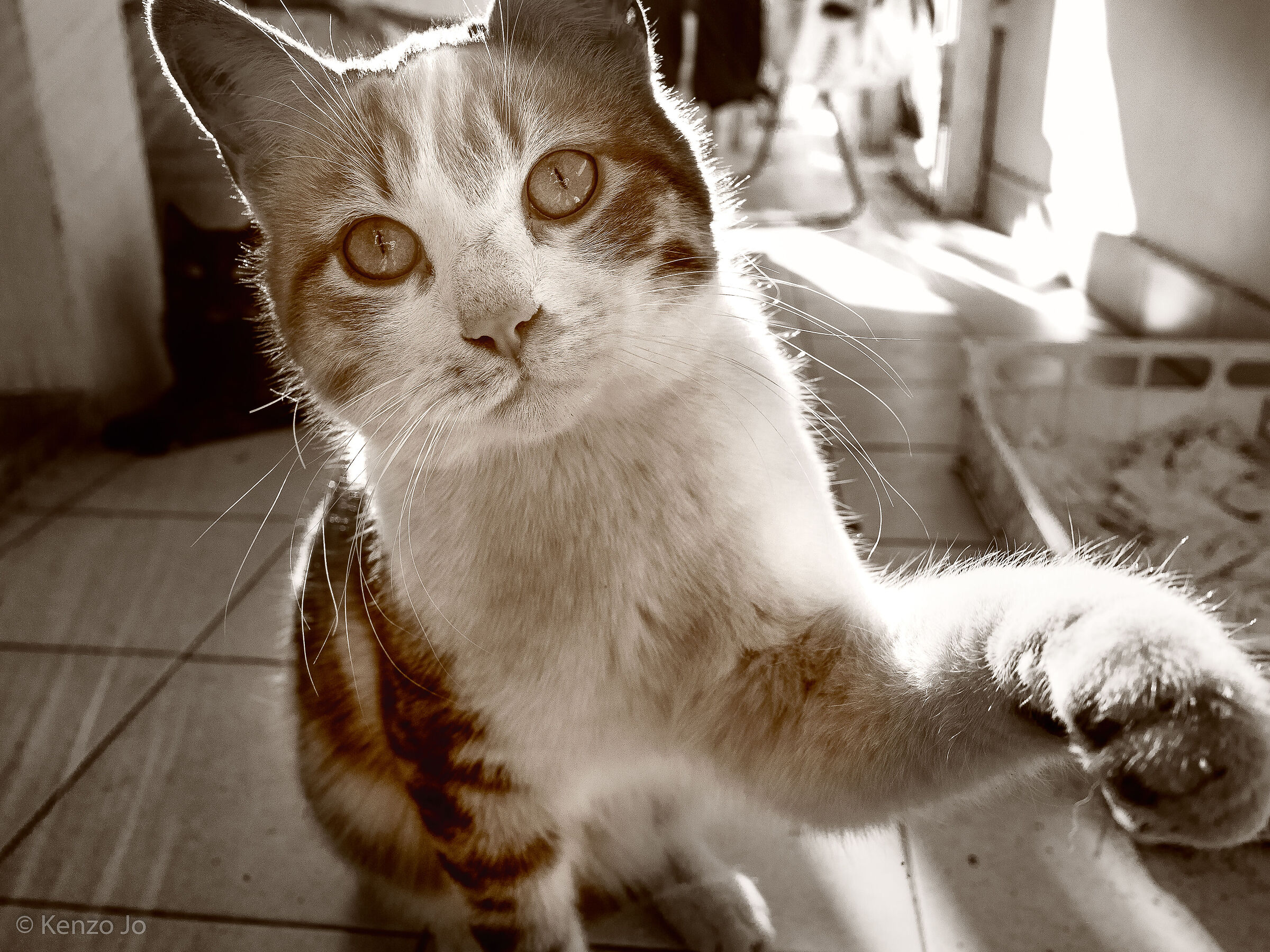 Attacco al potere!