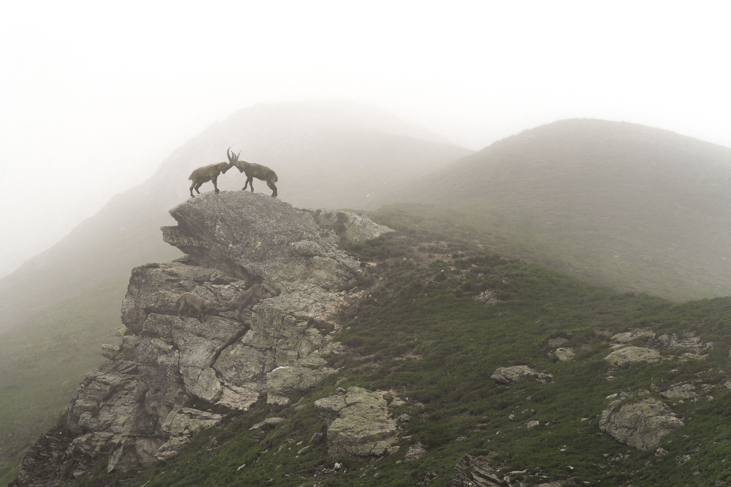 Giornata nebbiosa di alta quota