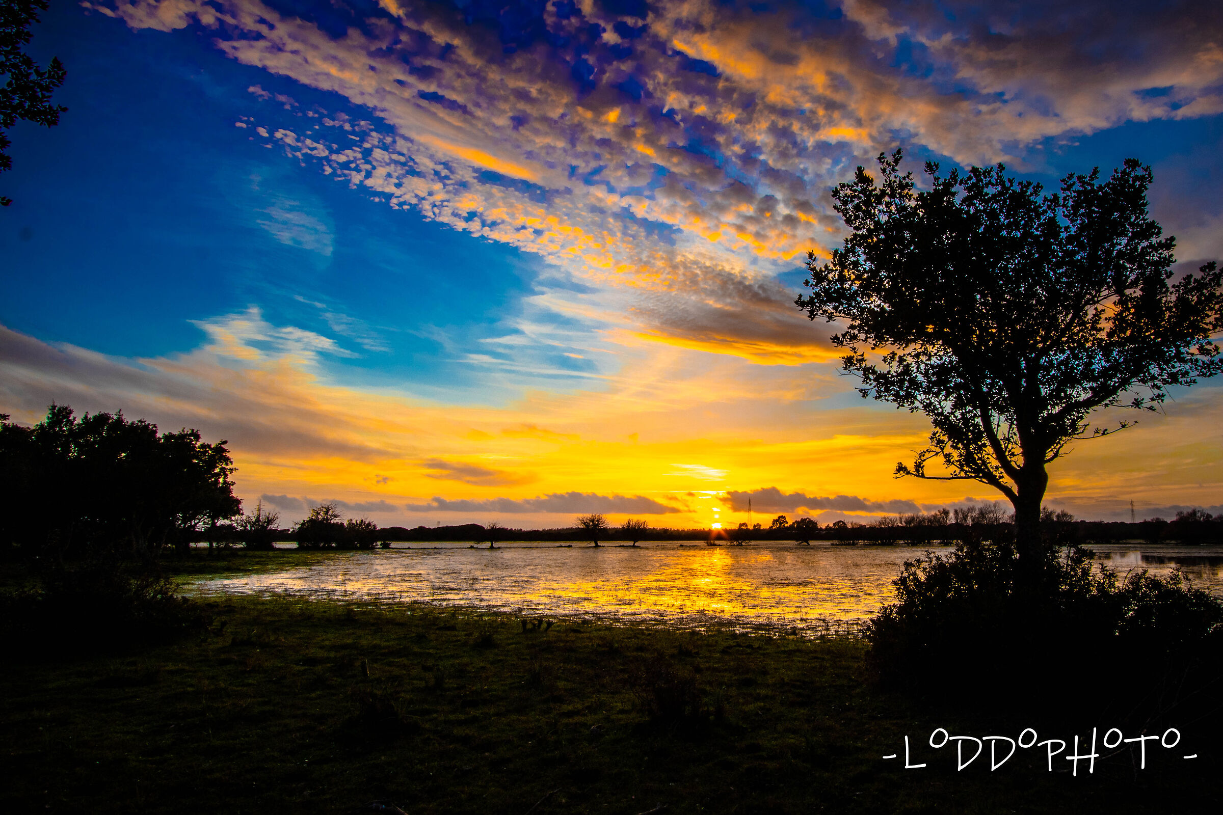 Marshes at sunset ²