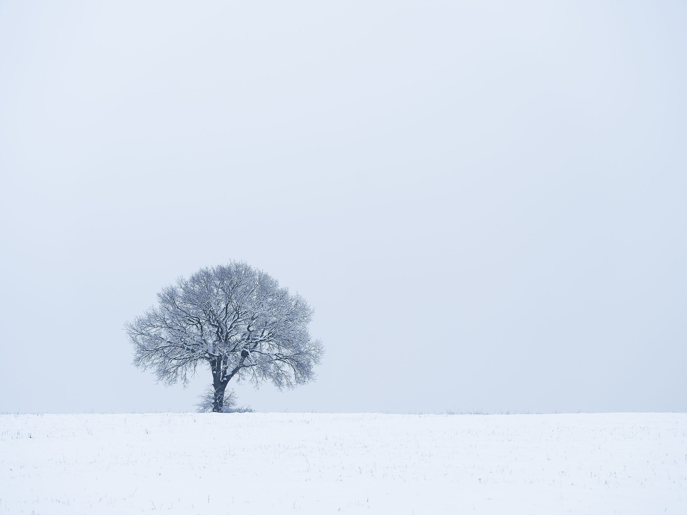 L'ultima neve