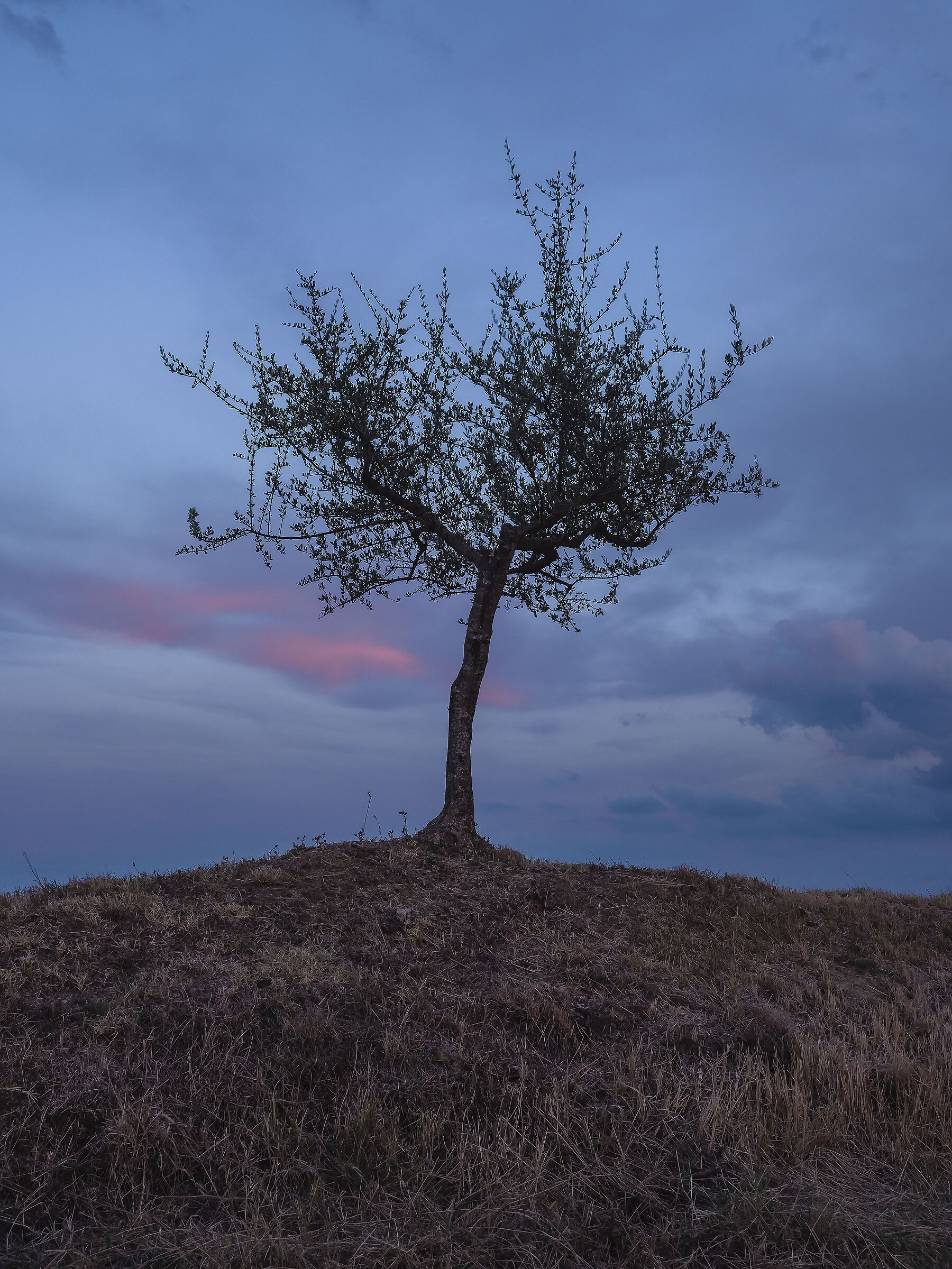 Untitled Photo