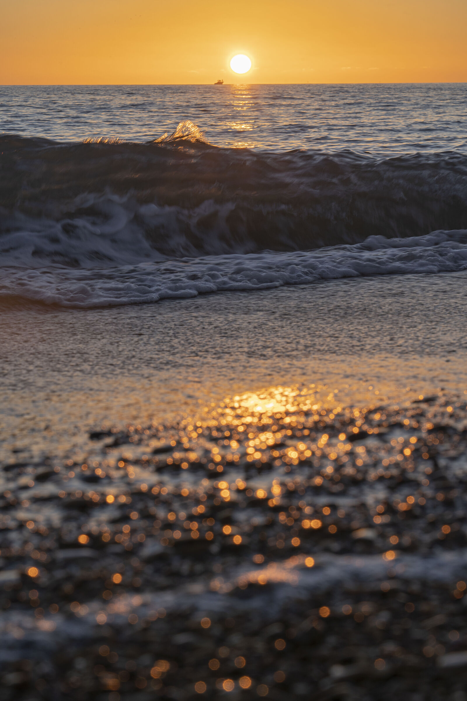 Untitled Photo