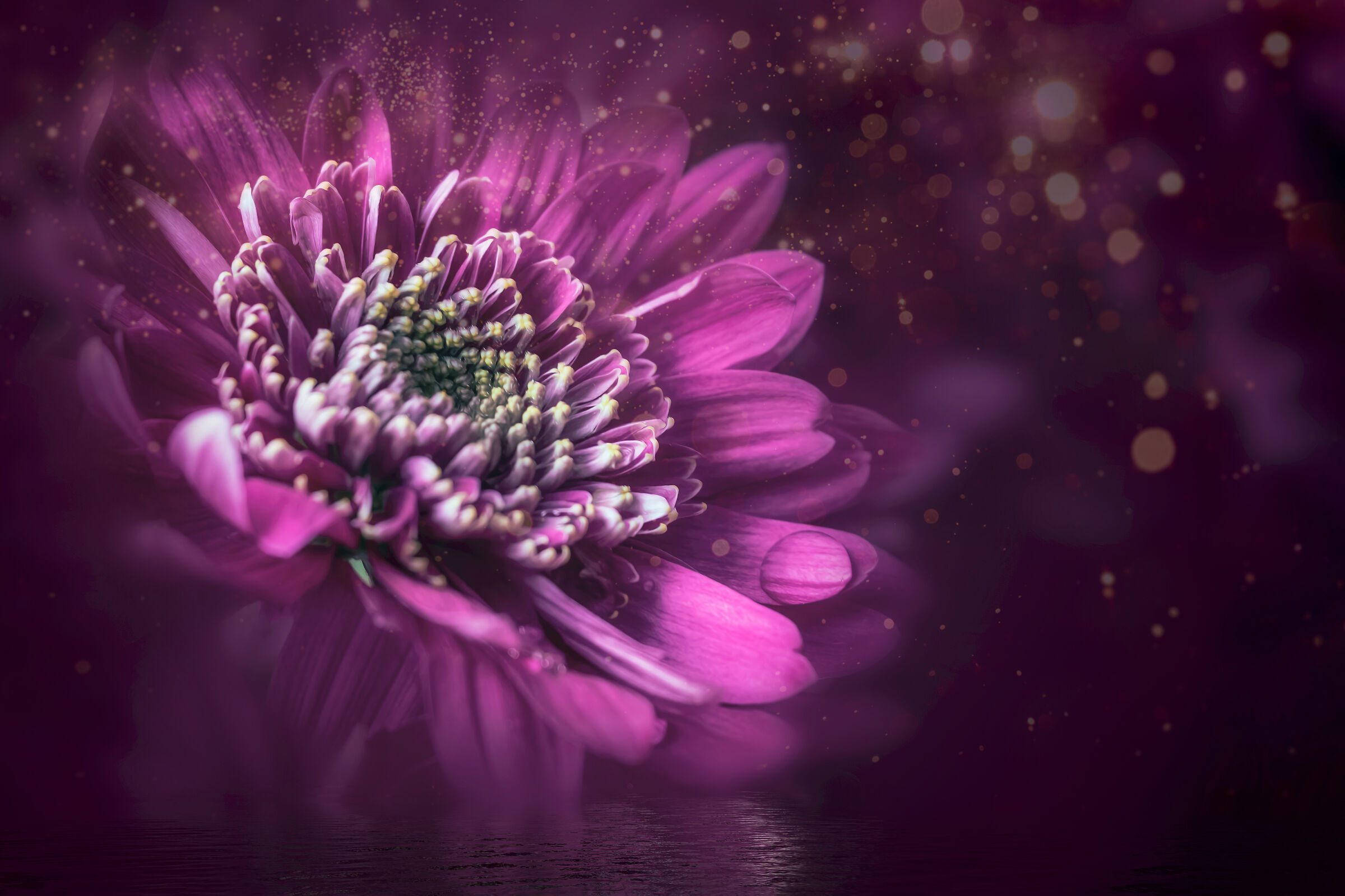Life in pink