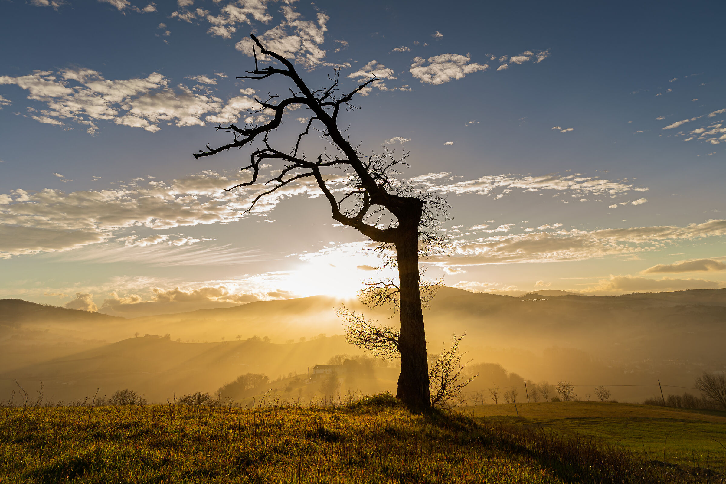 Tramonto sulle colline marchigiane