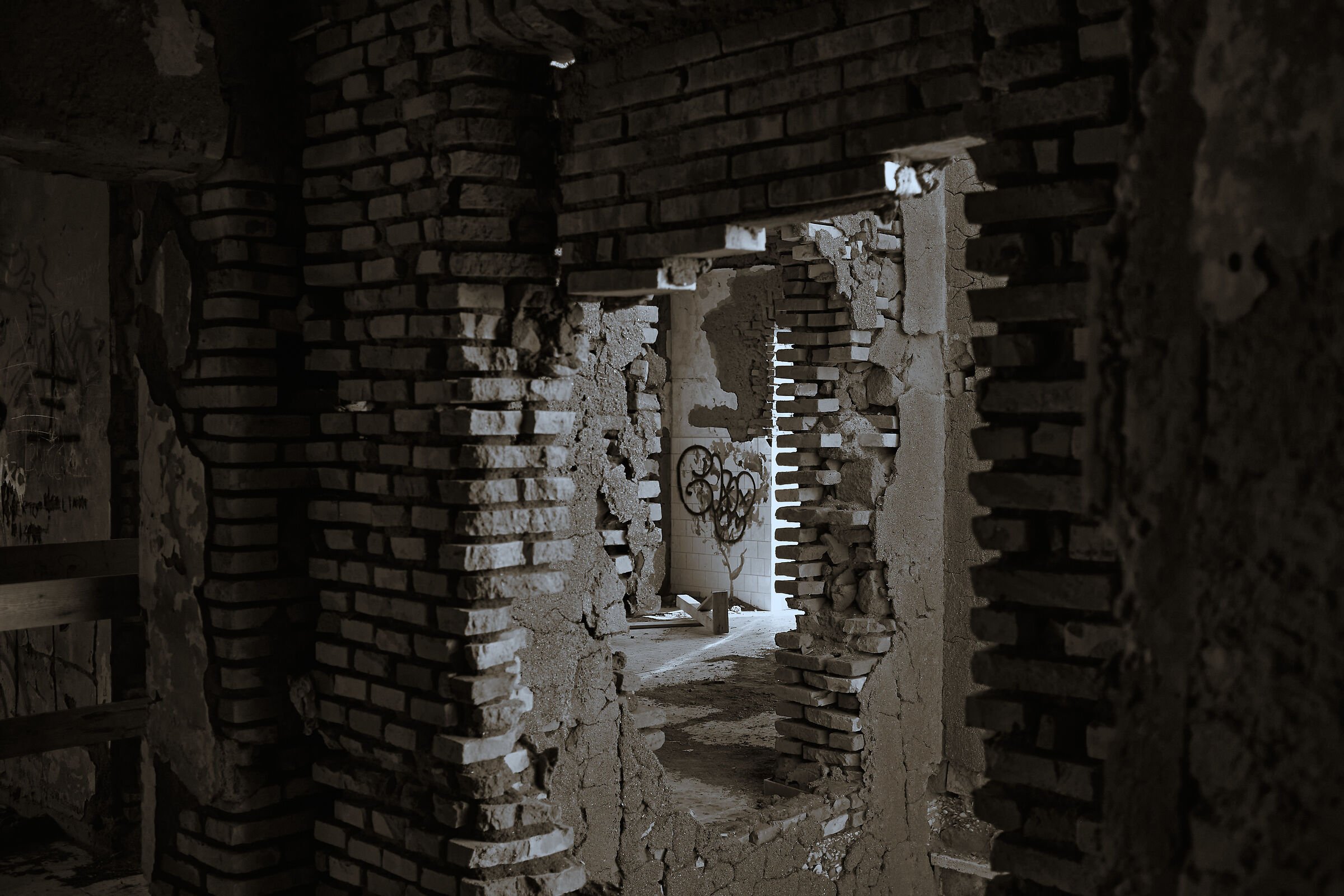 Untitled Photo