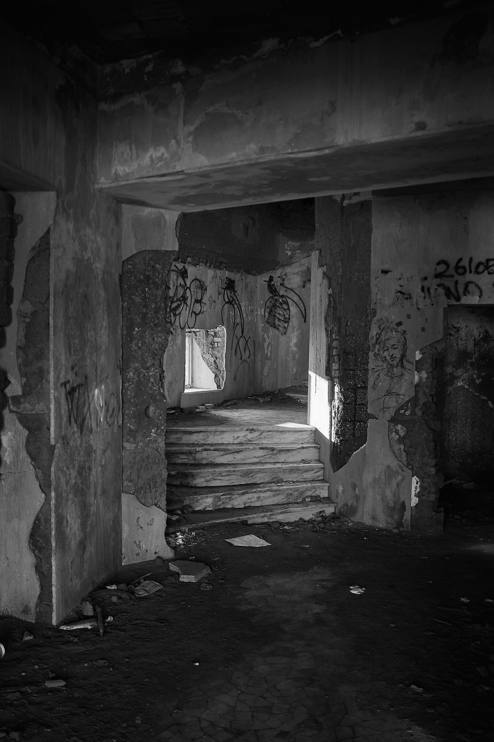 Untitled Photo