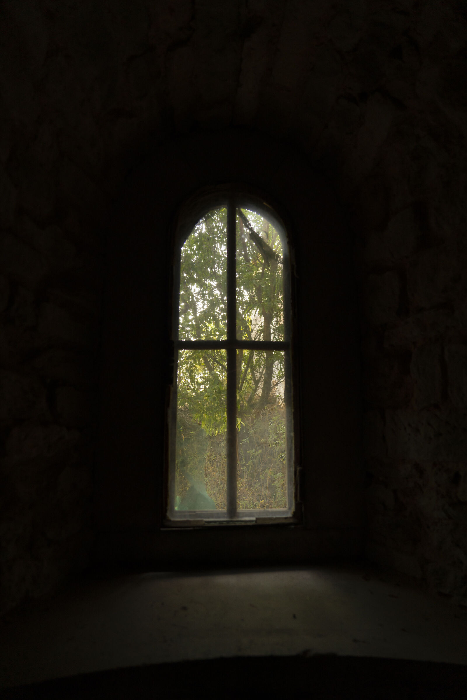 Untitled Photo