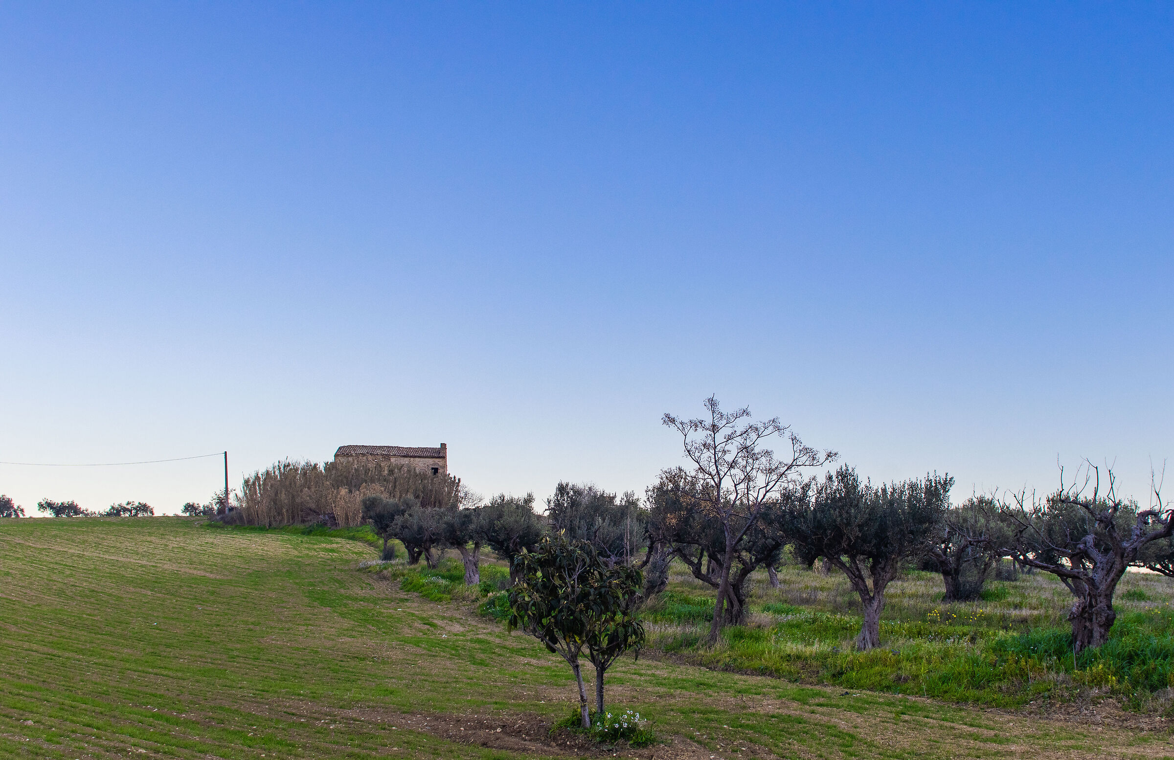 Abruzzo countryside, another abandoned house