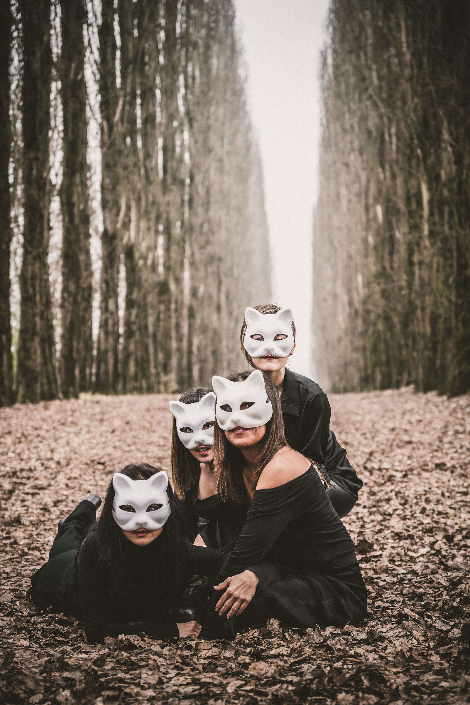 Cats