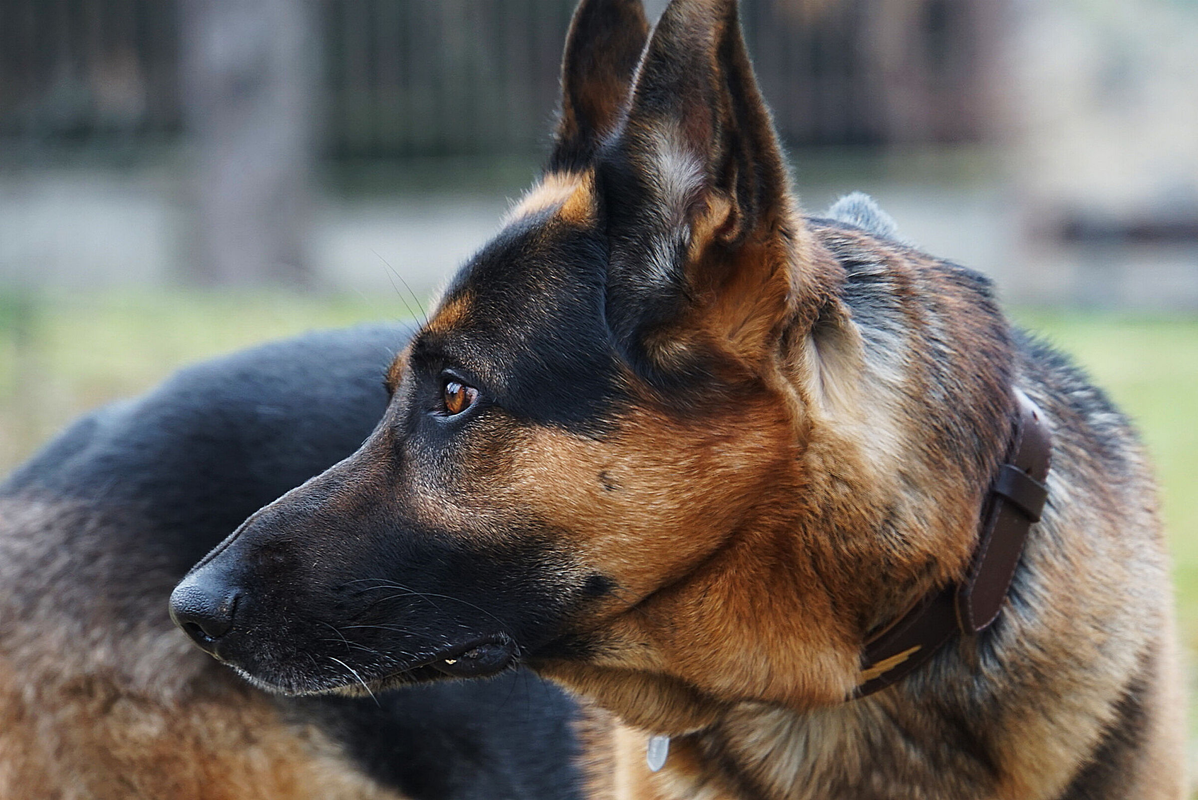 Ares