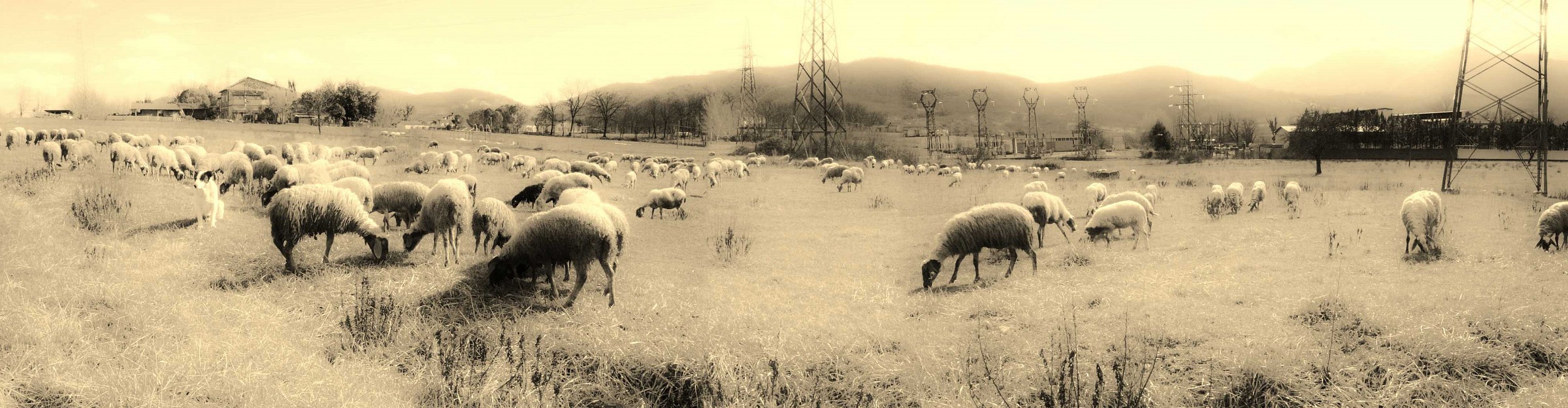 Electrosmog 2 overview