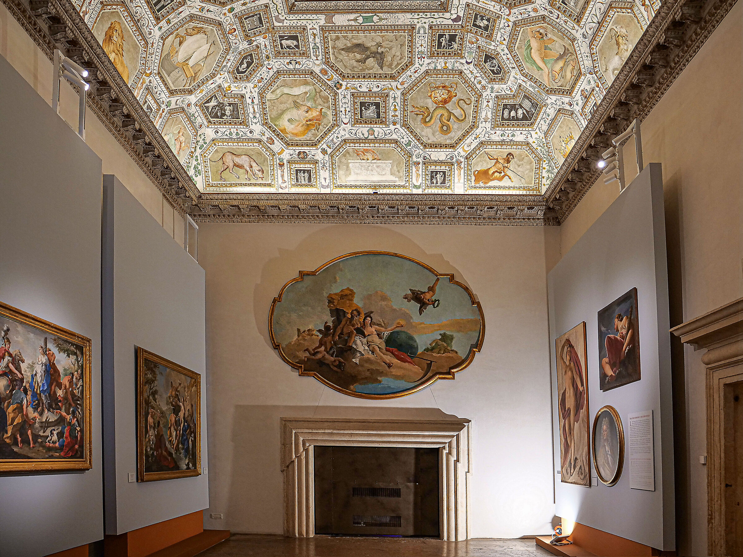 Interno Palazzo Chiericati 1