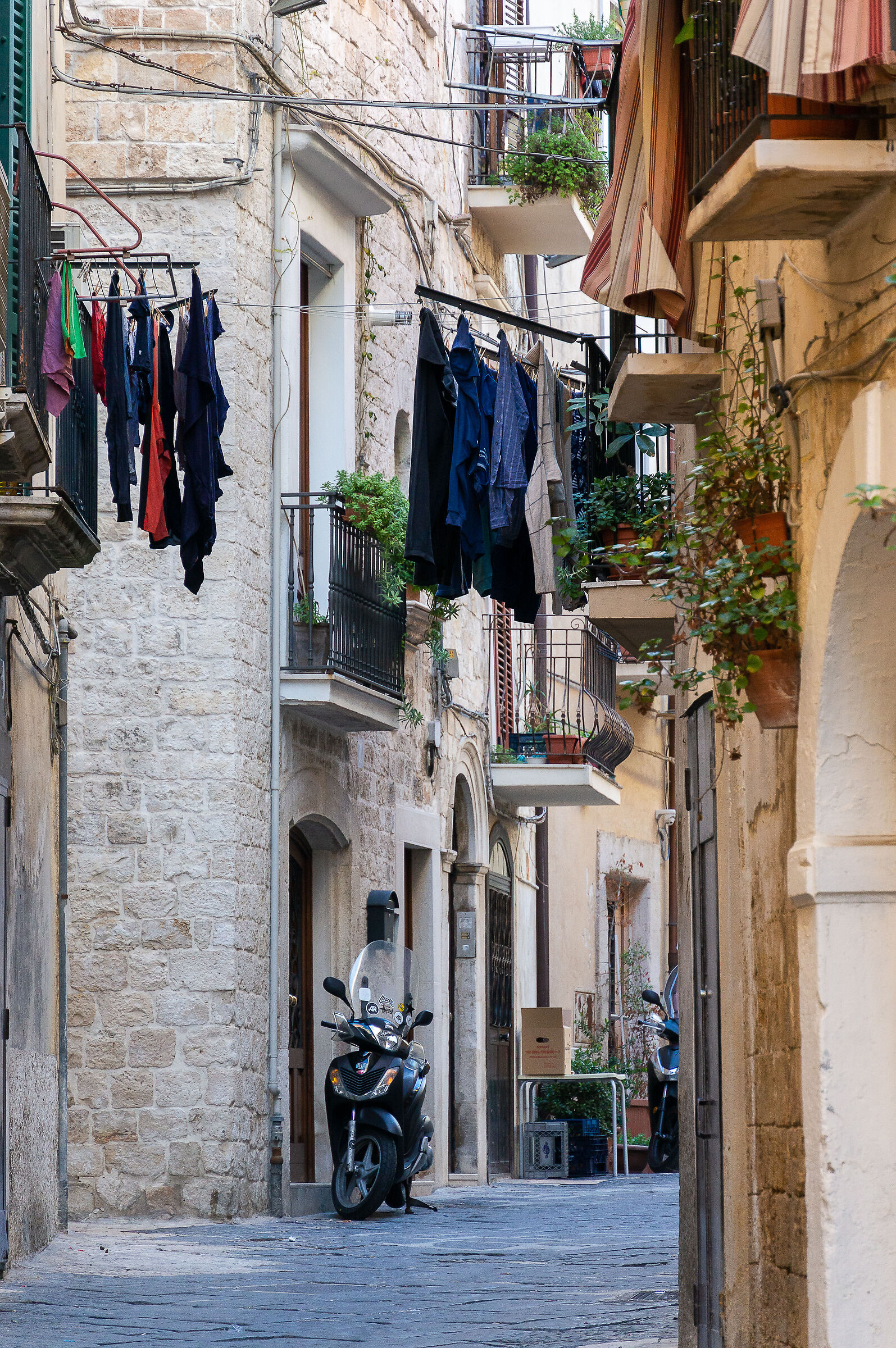 Bari